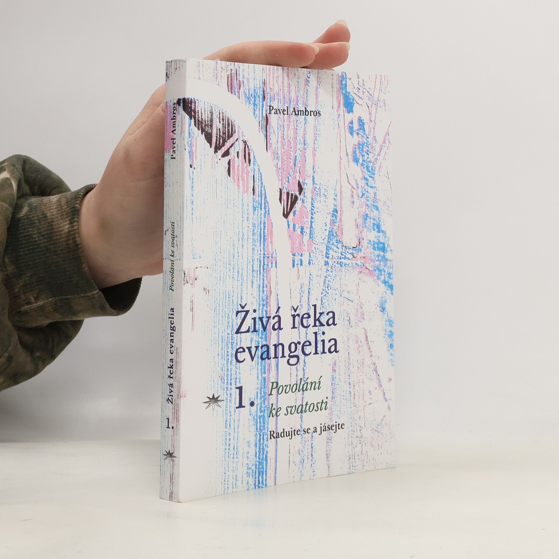 Živá řeka evangelia 1 - Povolání ke svatosti