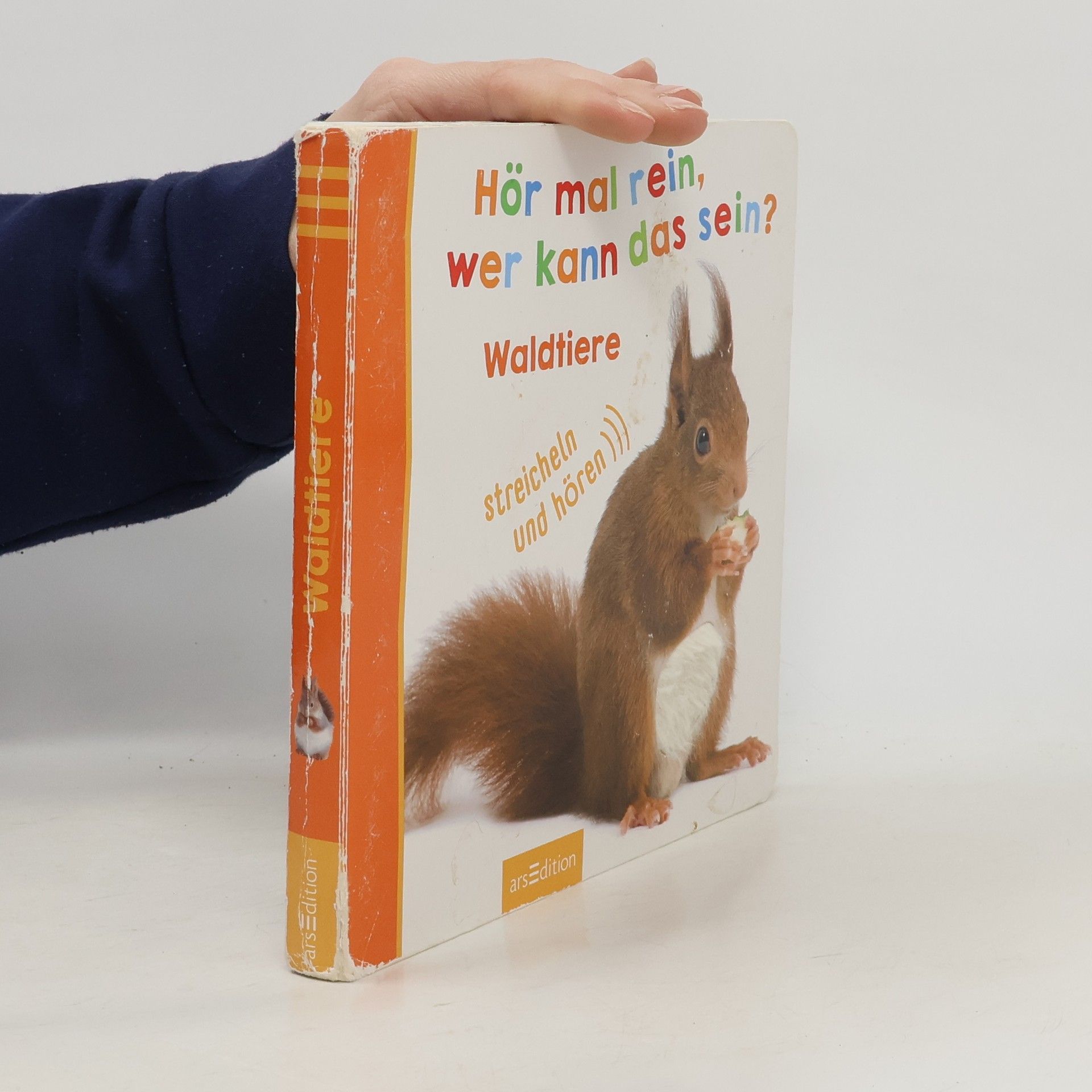 Kolektív autorov Hör mal rein, wer kann das sein? - Waldtiere