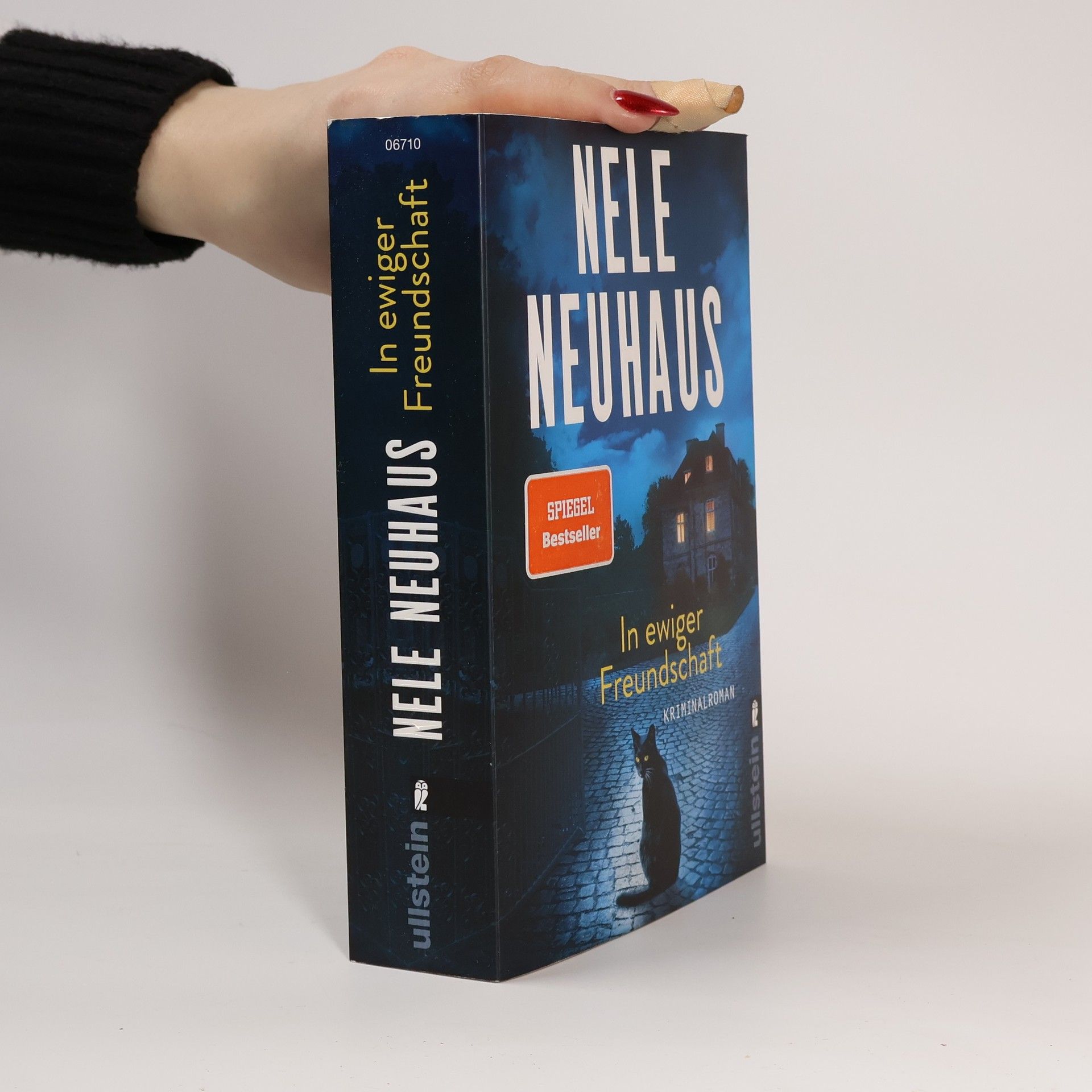 Nele Neuhaus In ewiger Freundschaft