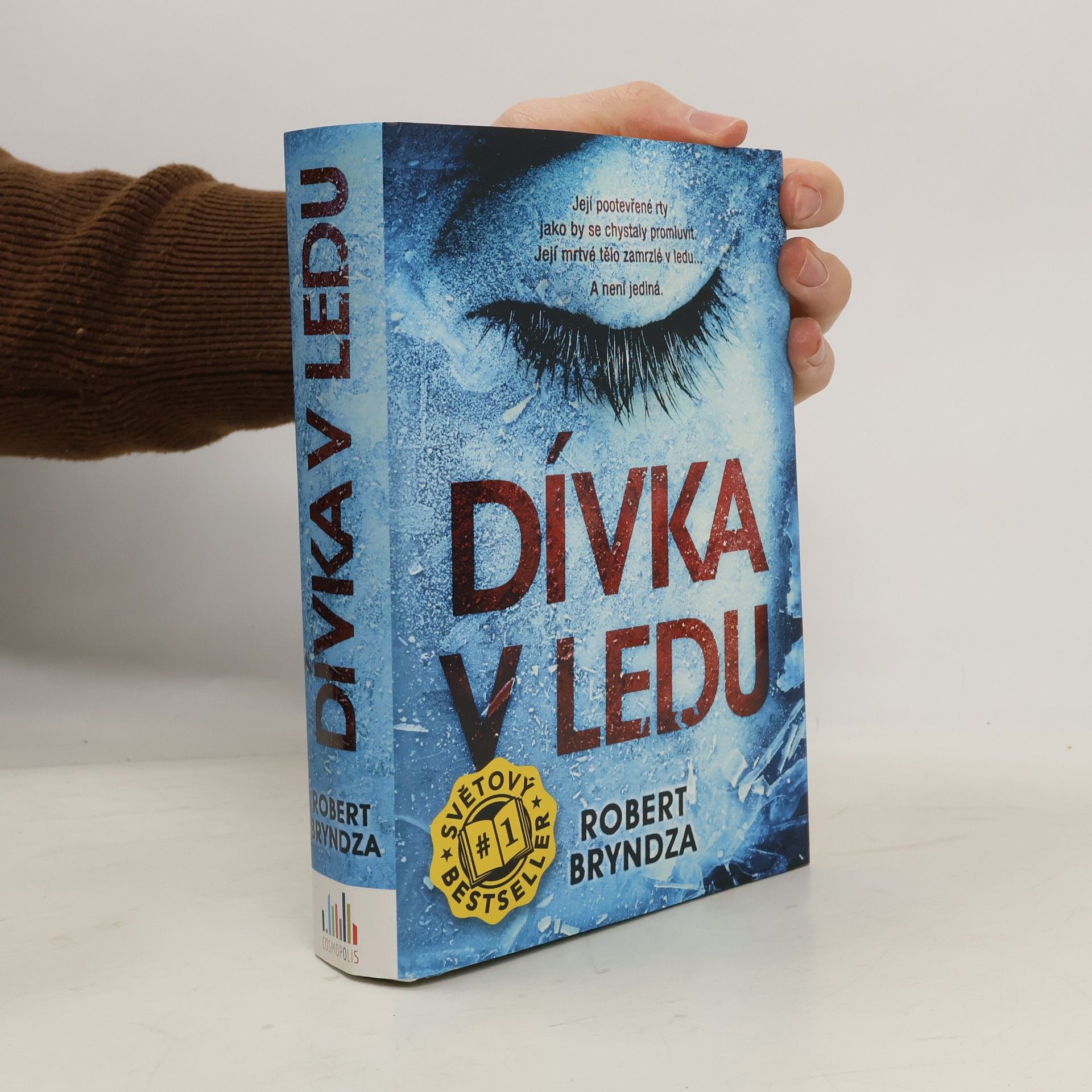 Robert Bryndza Dívka v ledu
