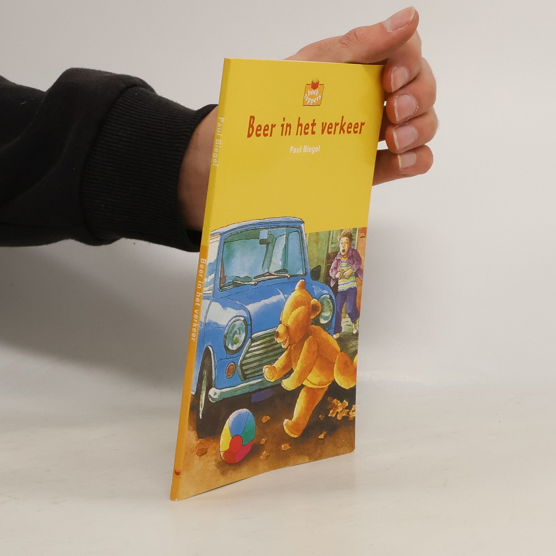 Paul Johannes Biegel Beer in het verkeer