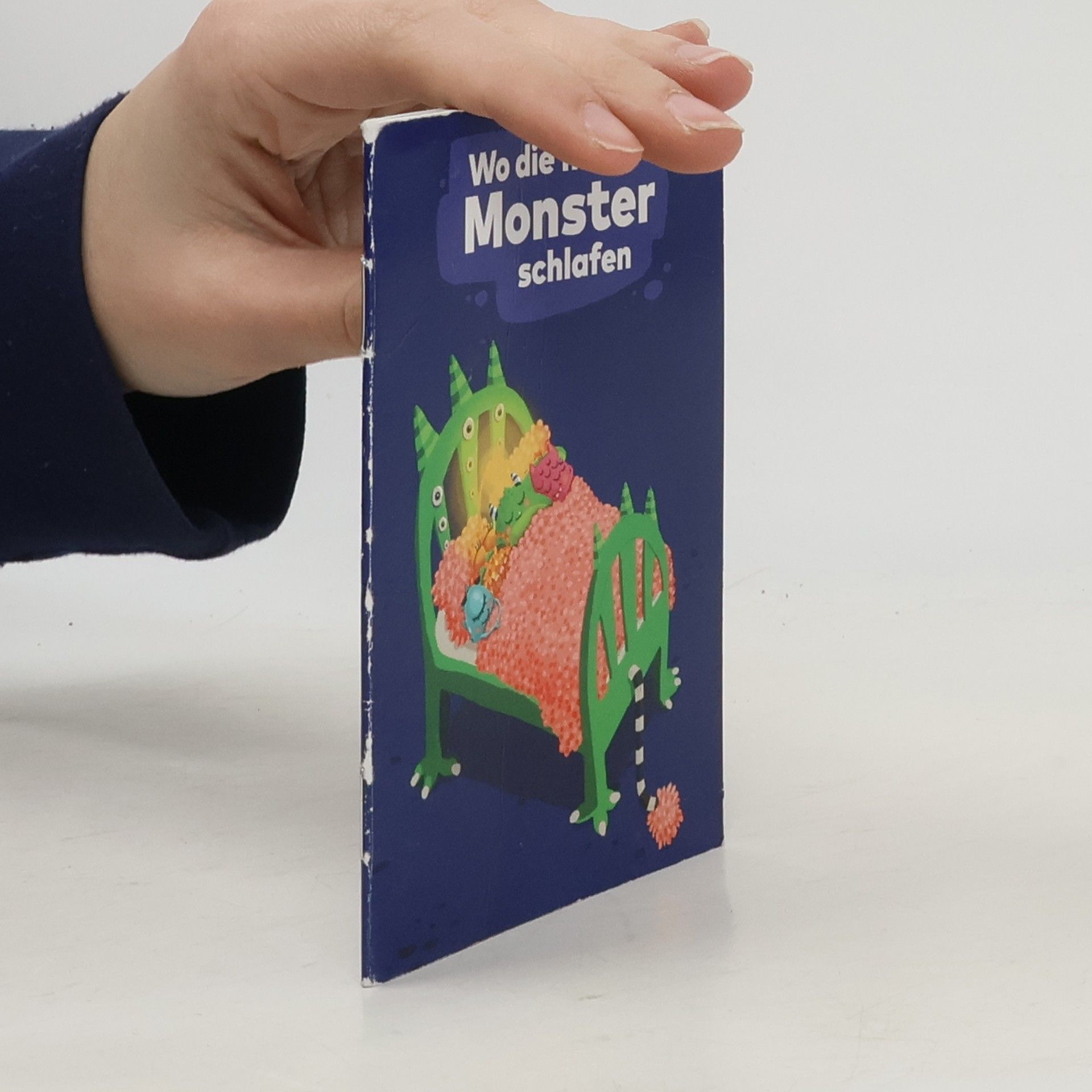 Kolektiv autorů Wo die müden Monster schlafen