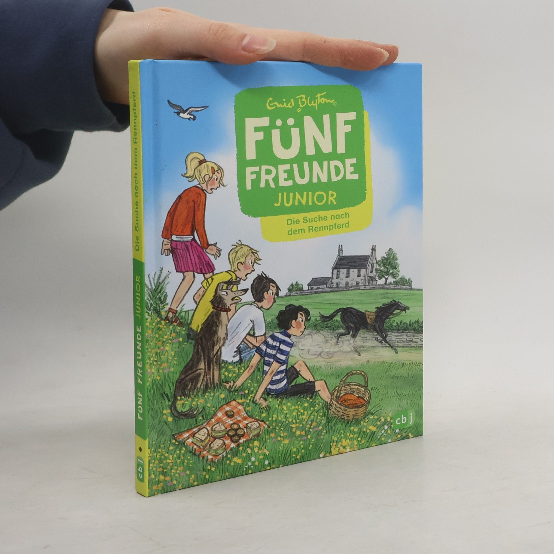 Enid Blyton Fünf Freunde Junior