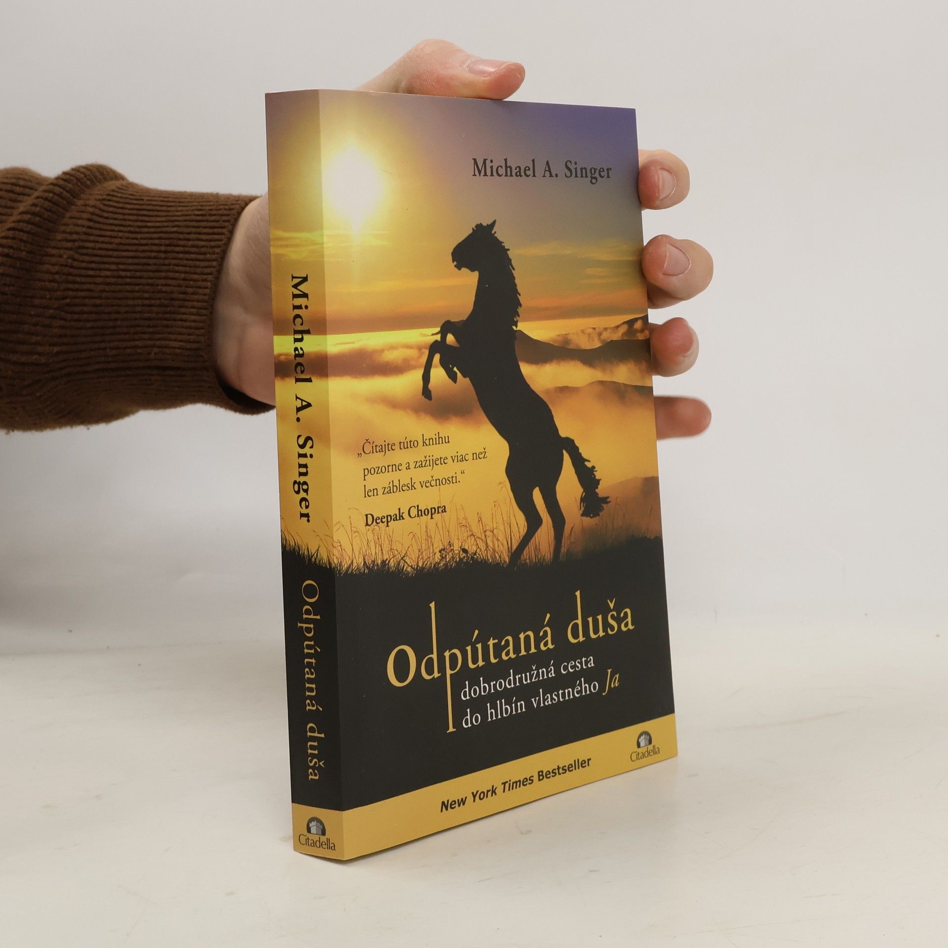. Michael A. Singer prel. Barbora Daxner Odpútaná duša