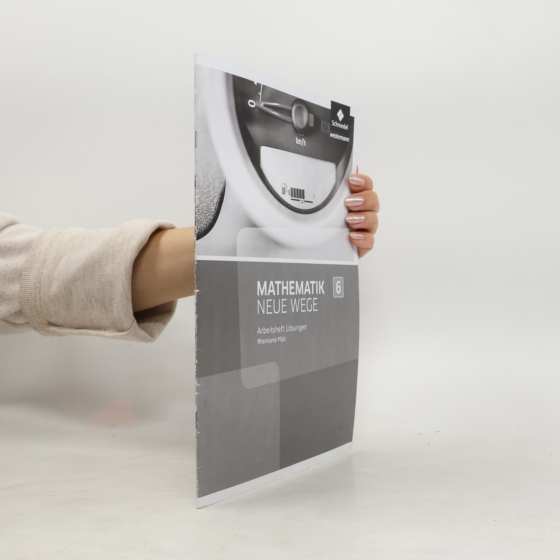 Mathematik Neue Wege - 6: Lösungen zum Arbeitsheft 6