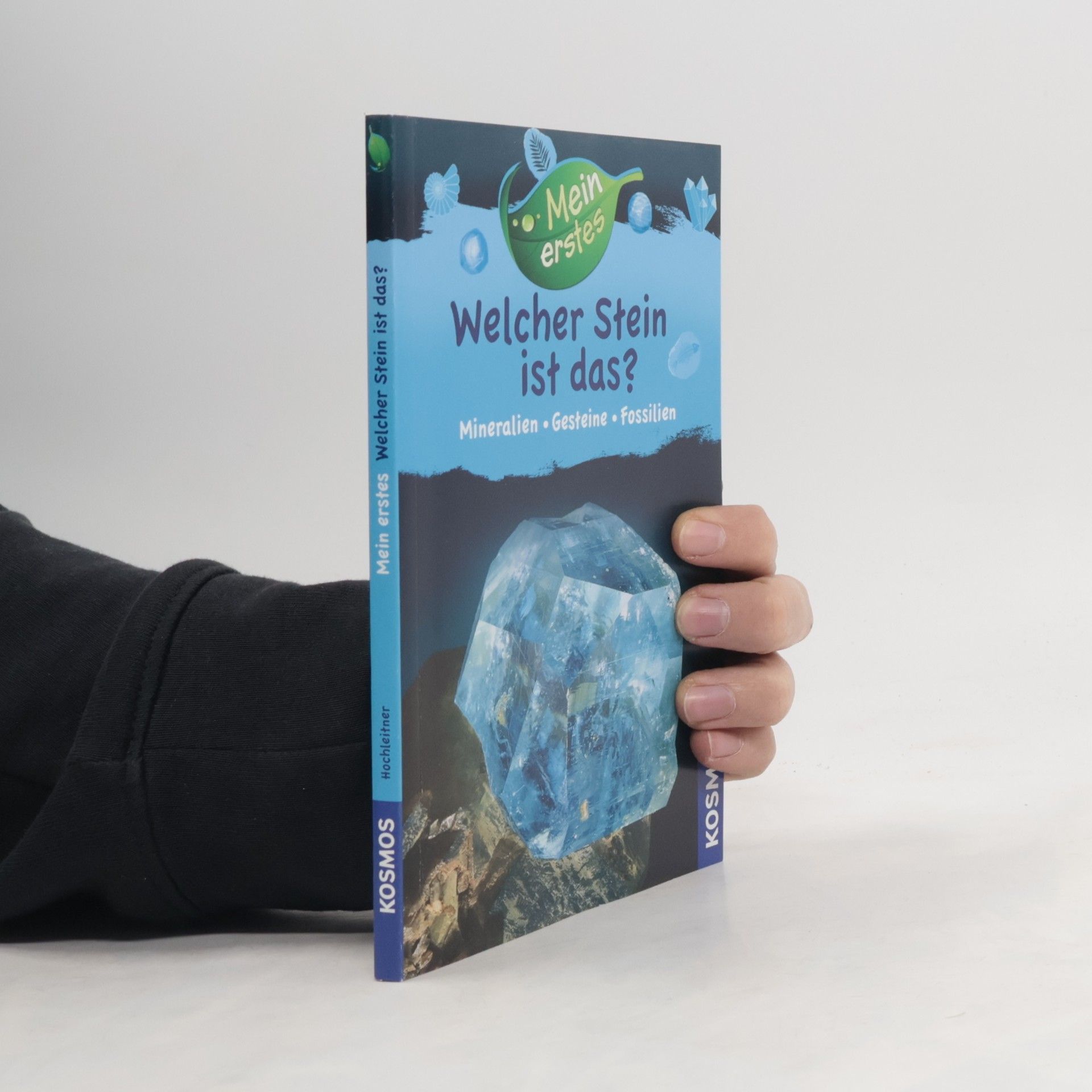 Rupert Hochleitner Welcher Stein ist das?