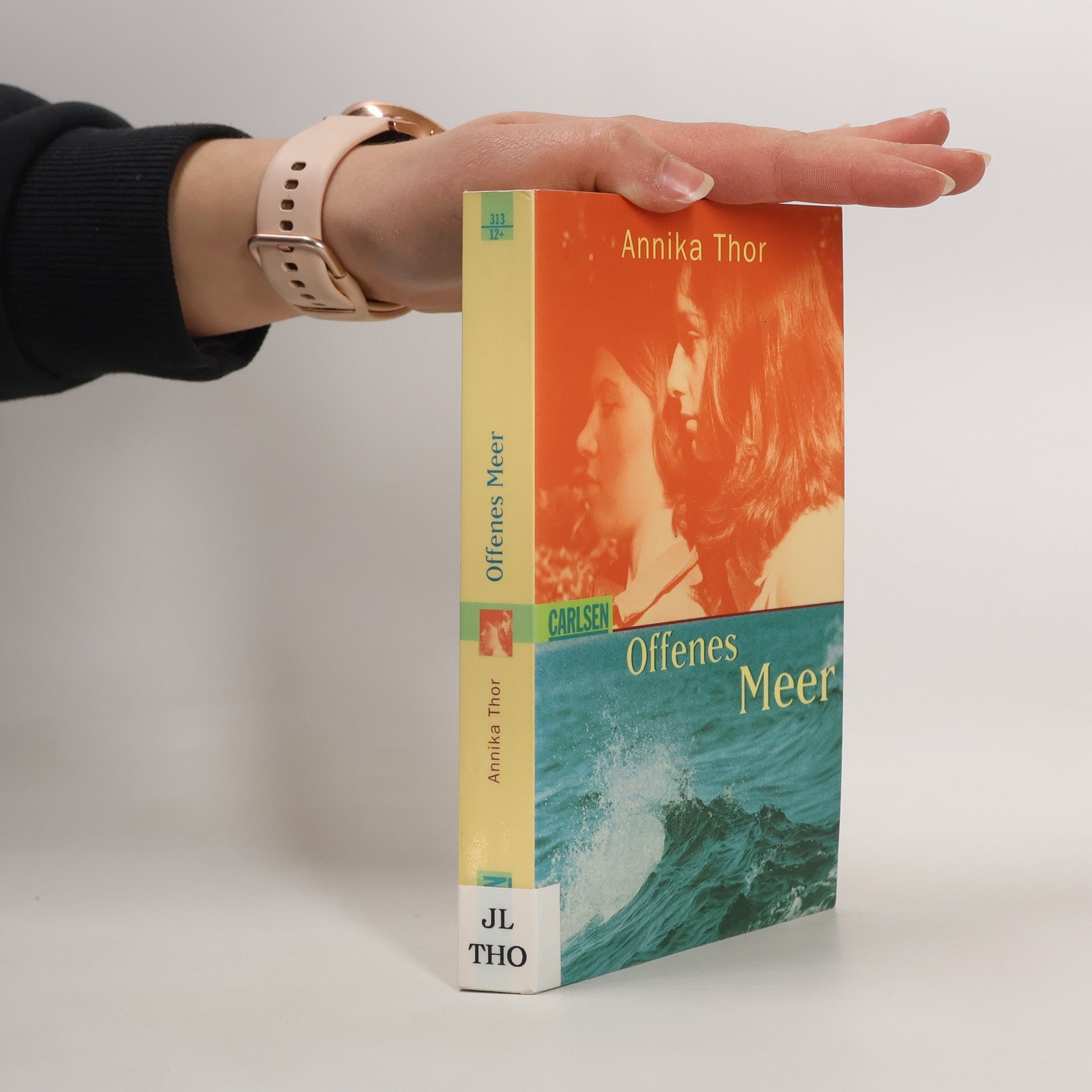 Annika Thor Offenes Meer