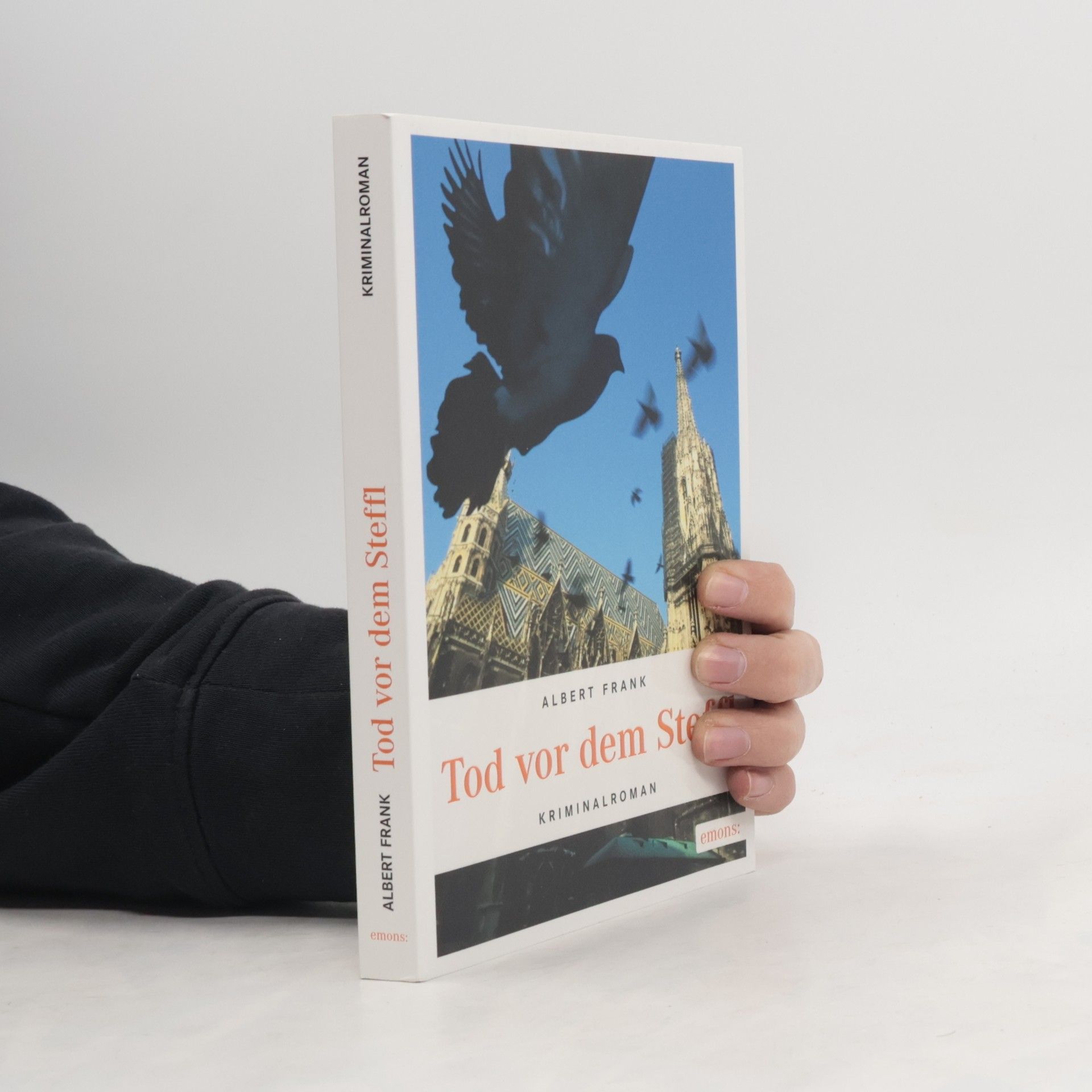 Frank Albert Tod vor dem Steffl