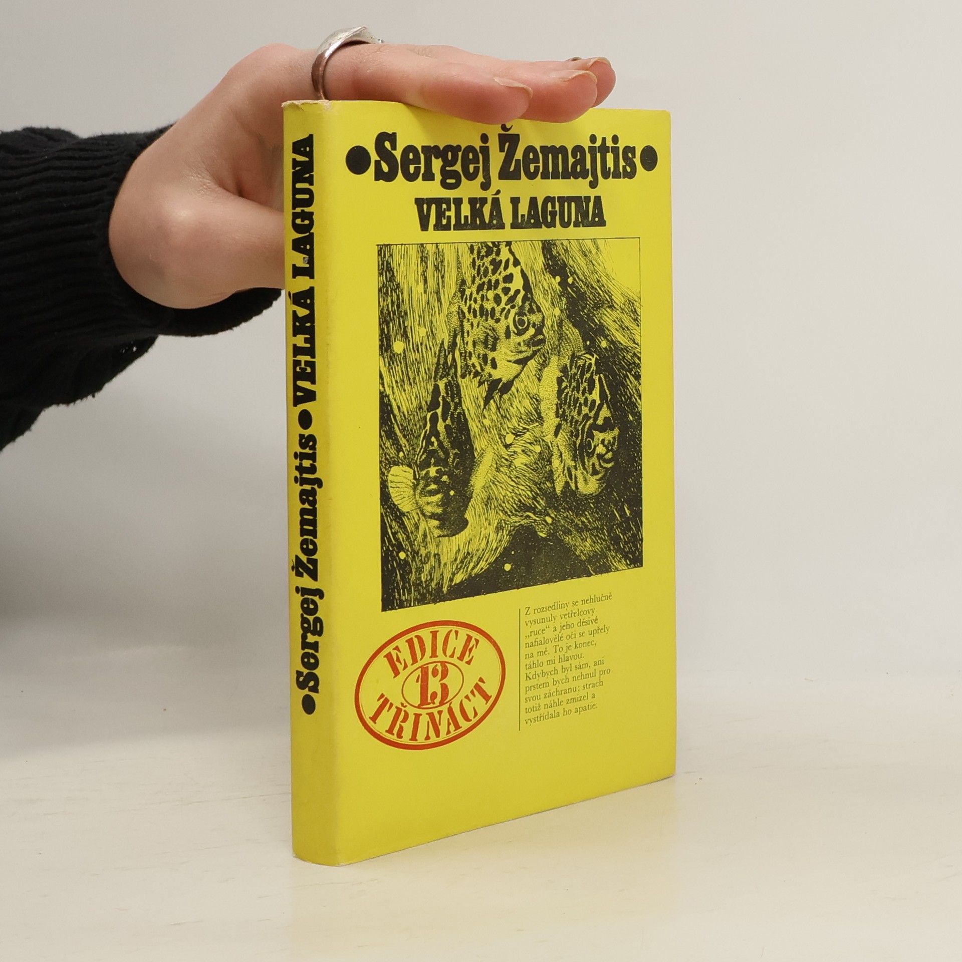Sergej Georgijevič Žemajtis Velká laguna
