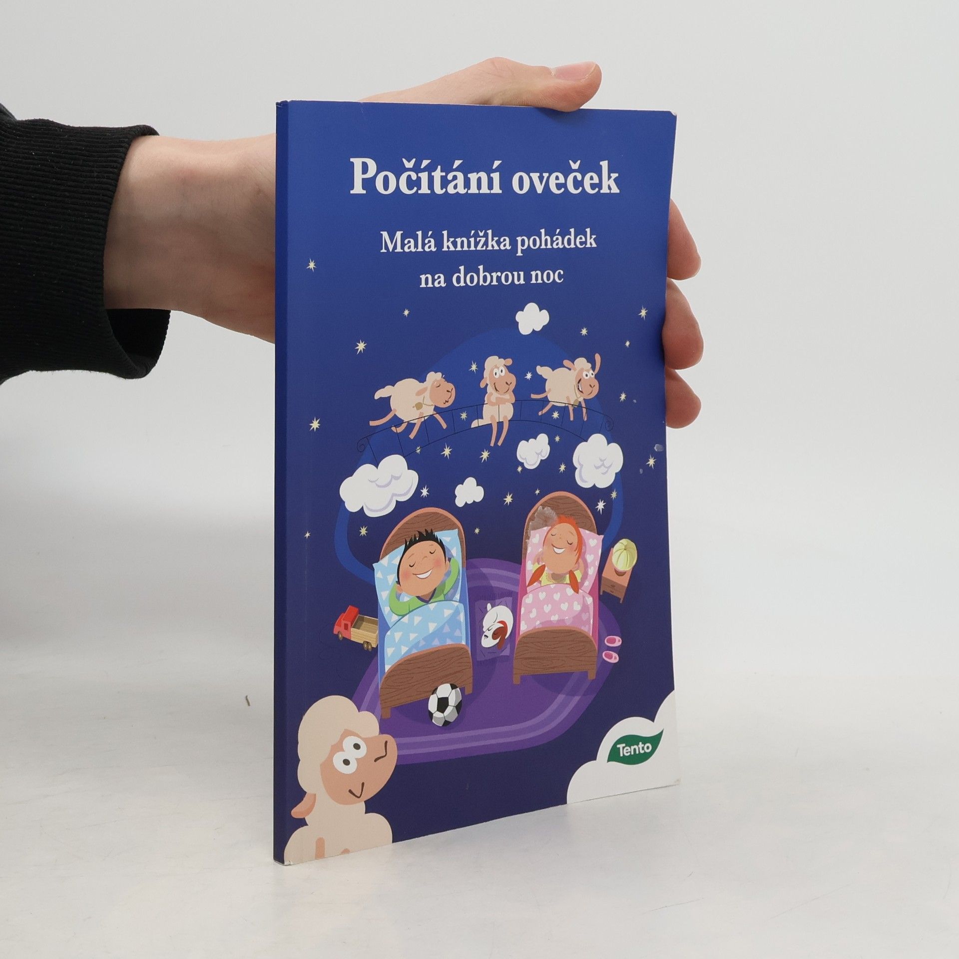 Kolektiv autorů Počítání oveček