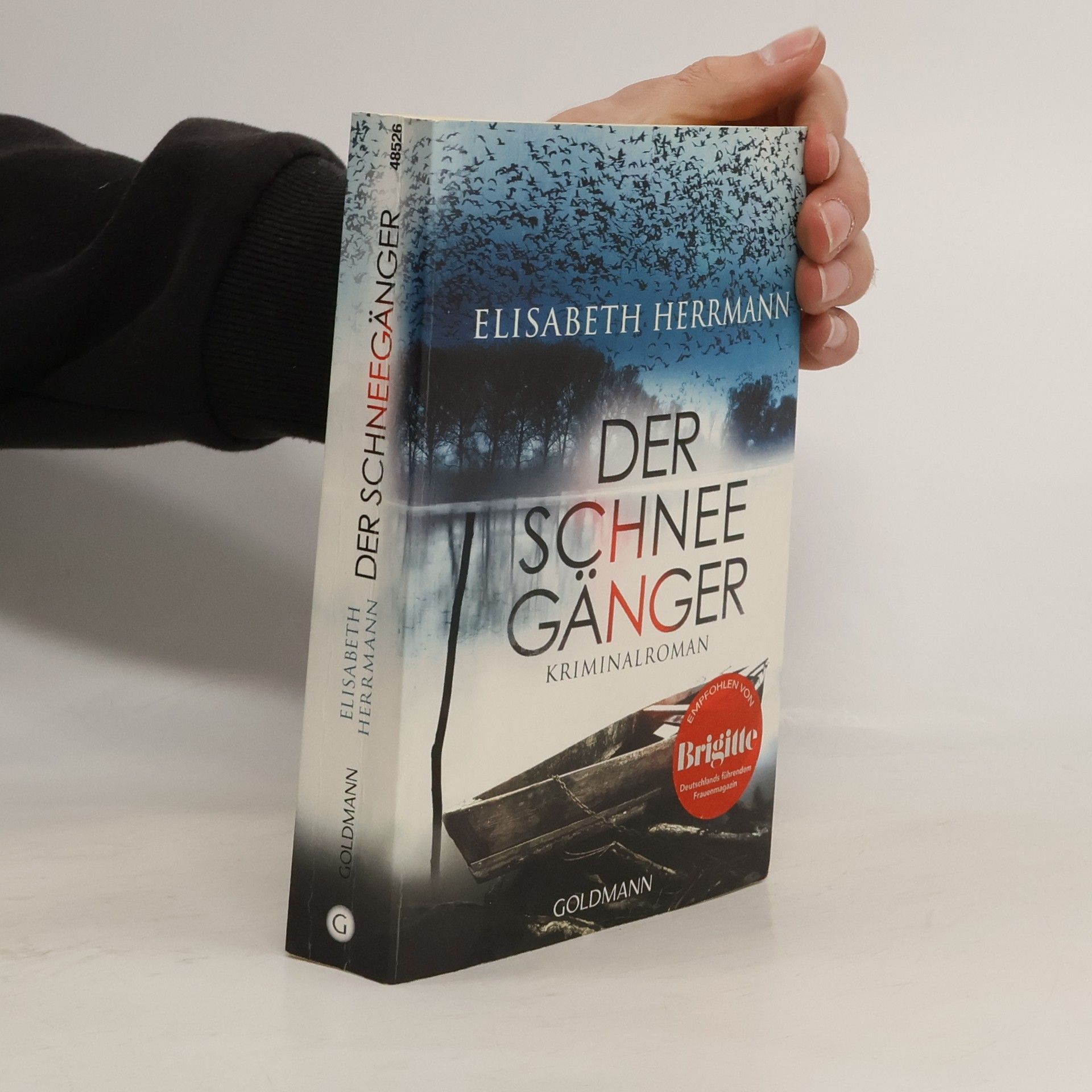 Elisabeth Hermann Der Schneegänger