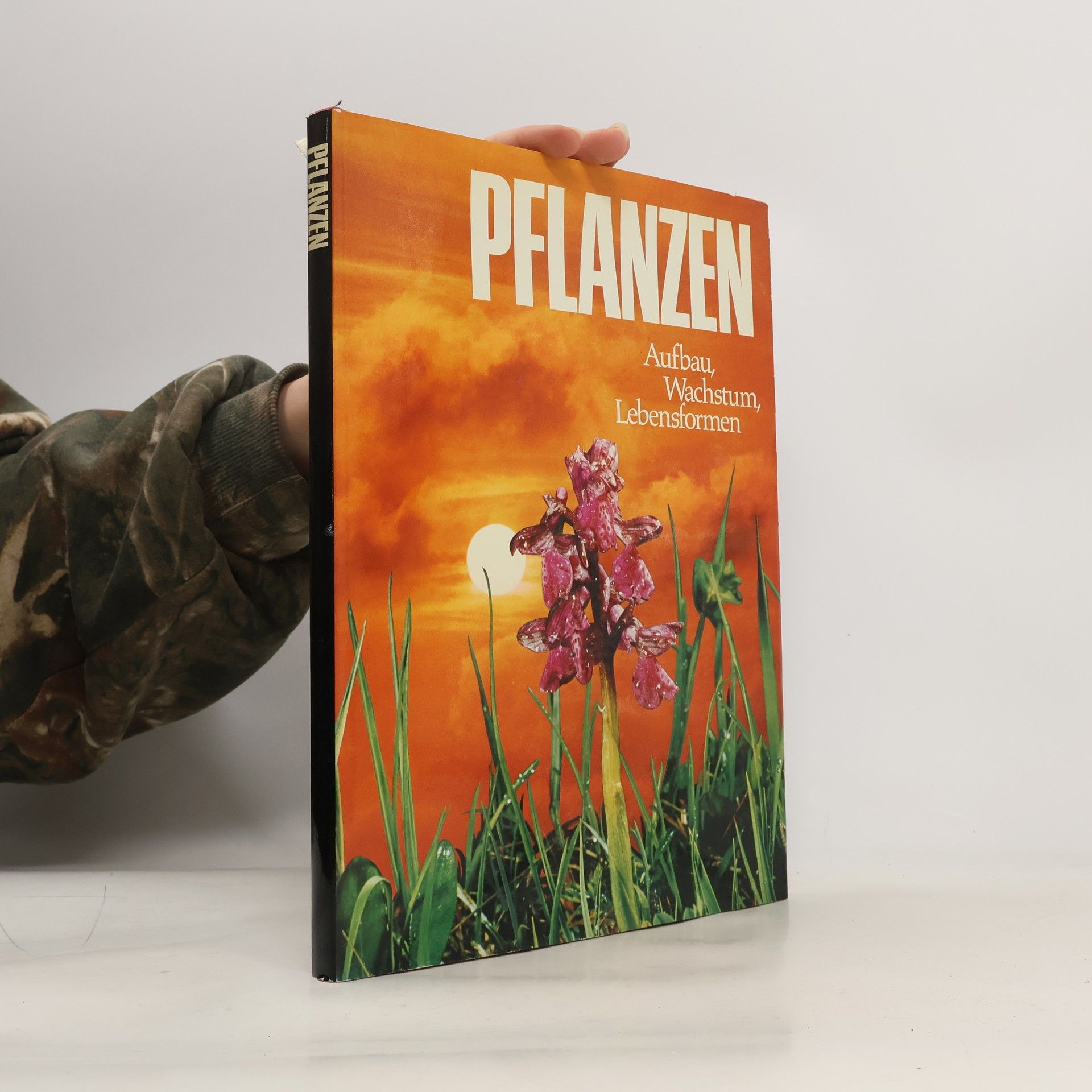 Autorenkollektiv Pflanzen. Aufbau, Wachstum, Lebensformen