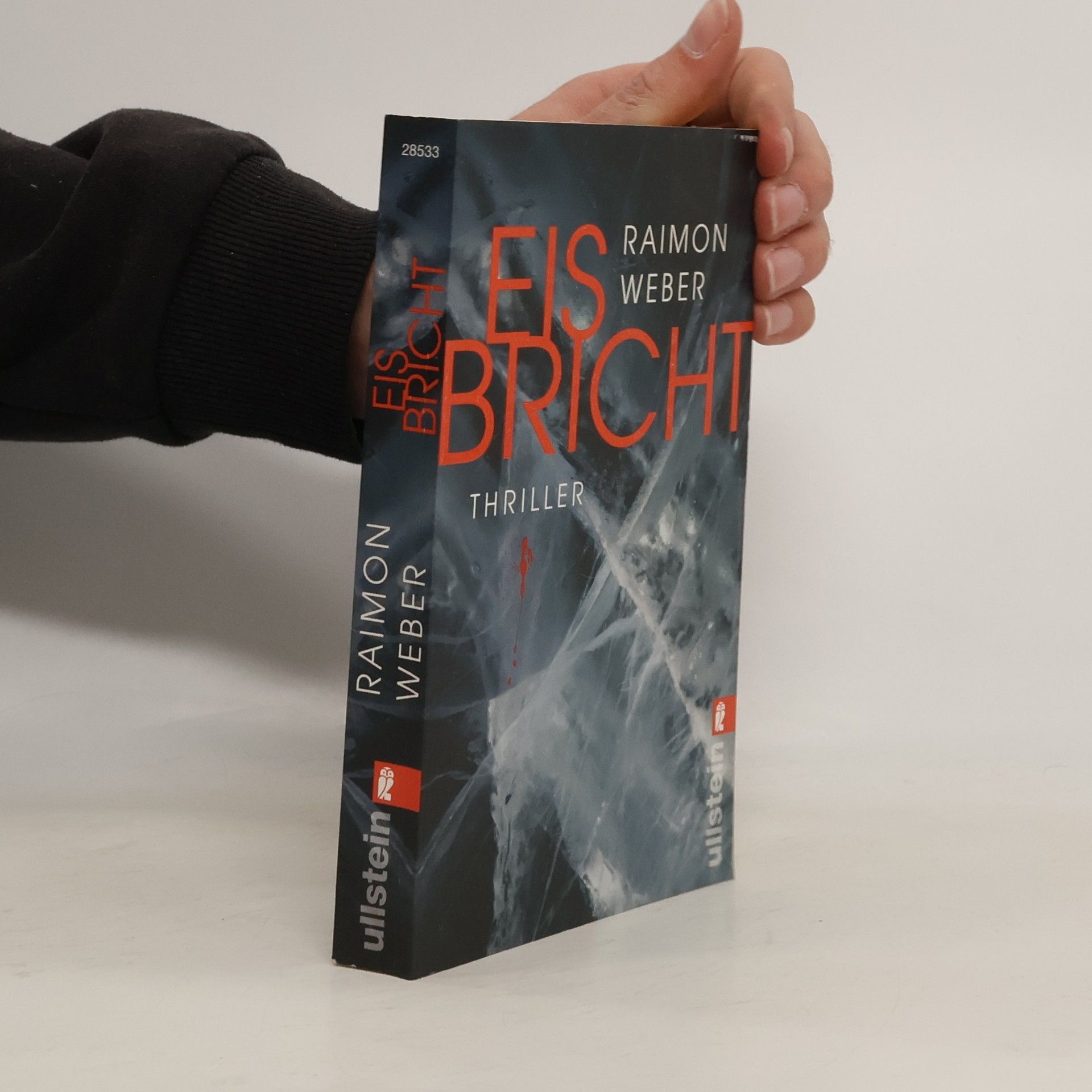 Raimon Weber Eis bricht