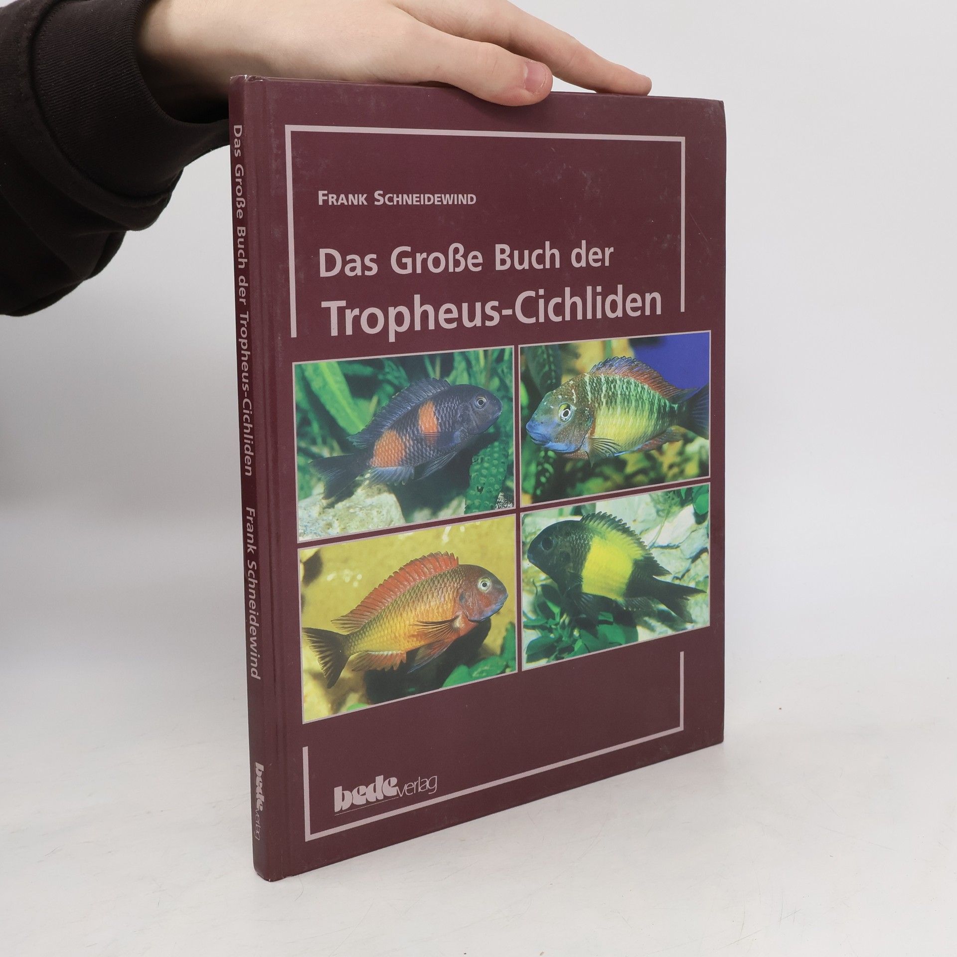 Frank Schneidewind Das Grosse Buch der Tropheus-Cichliden