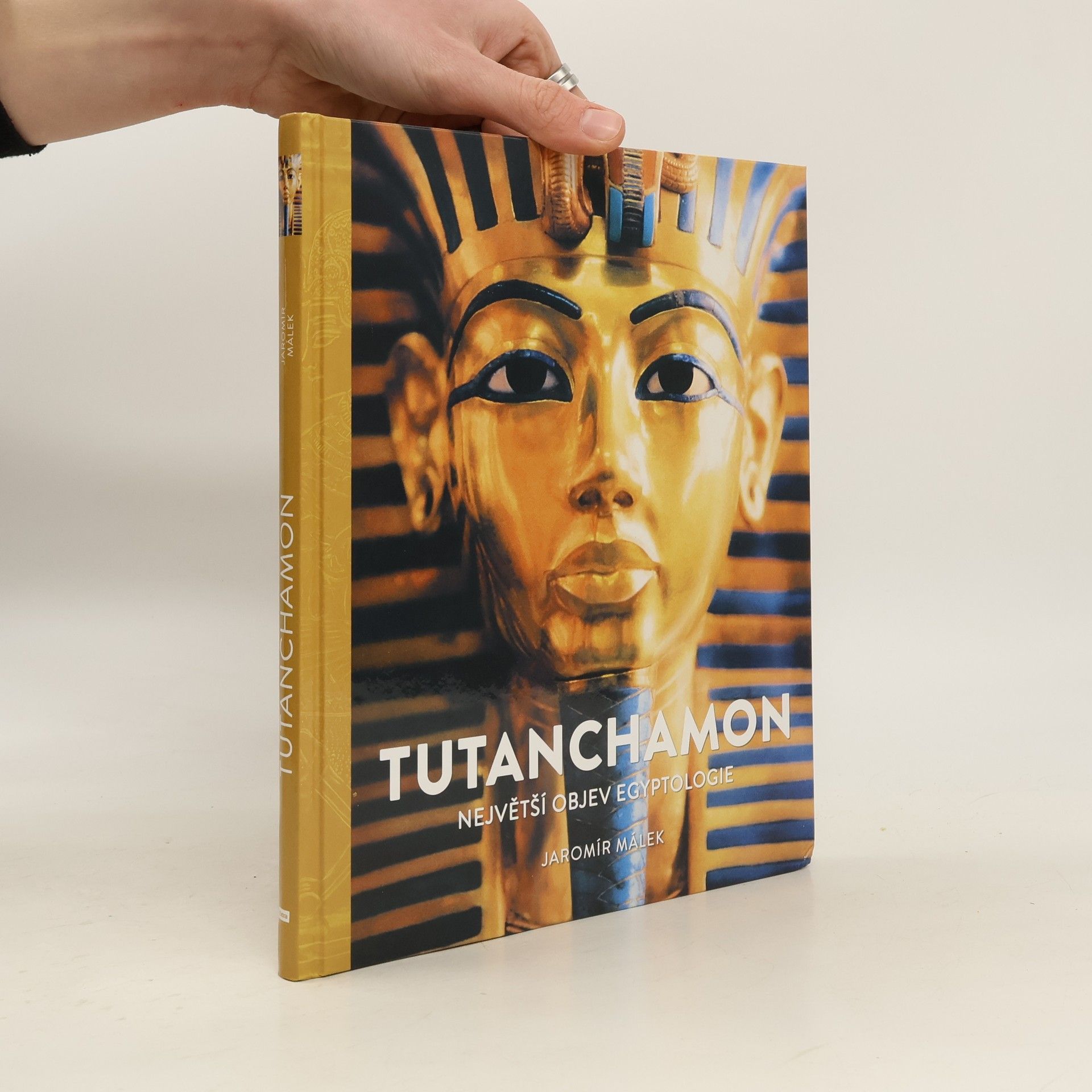 Jaromír Málek Tutanchamon : největší objev egyptologie