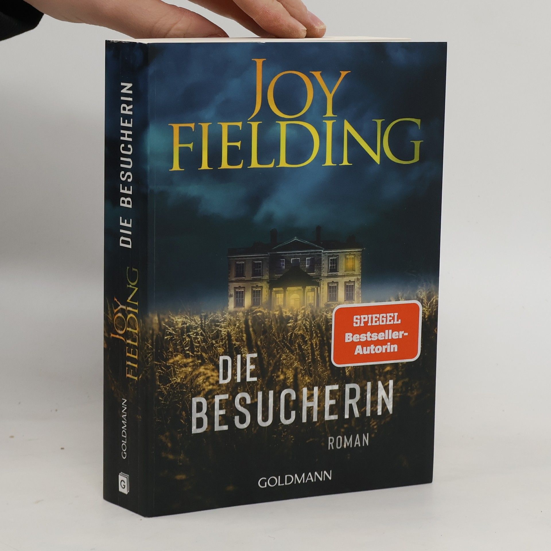 Die Besucherin