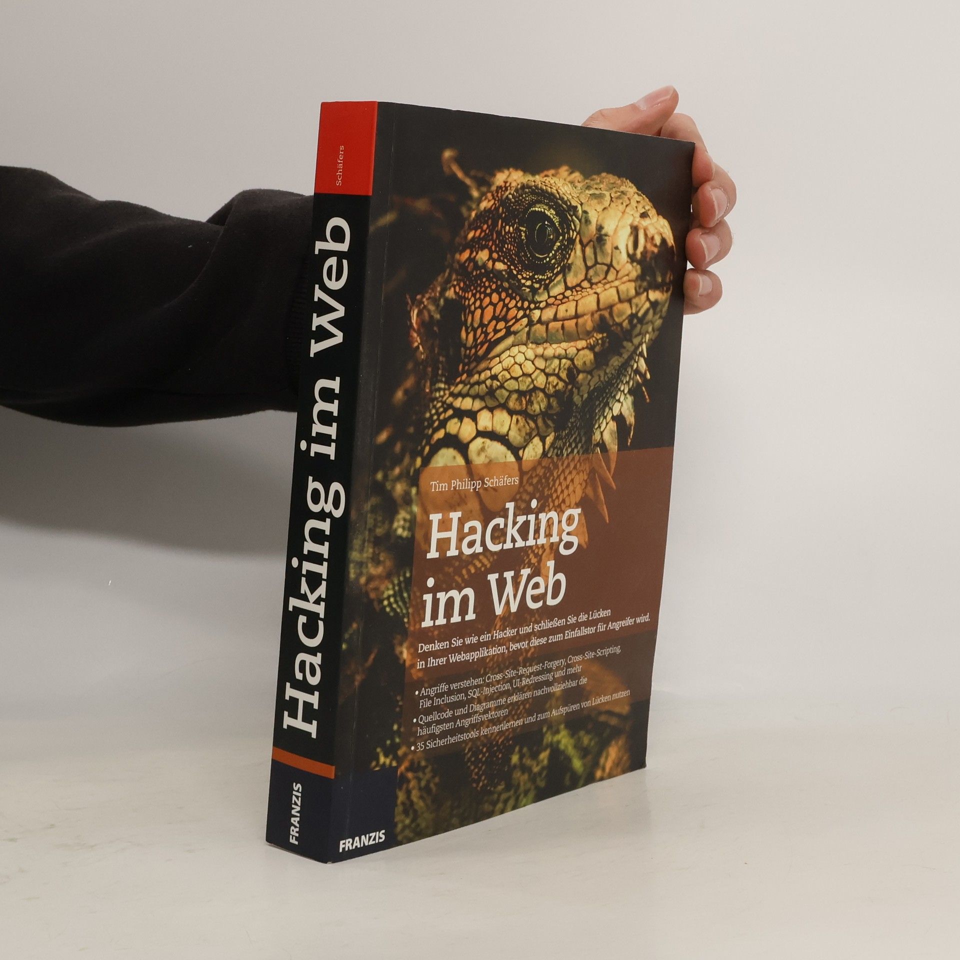 Tim Philipp Schäfers Hacking im Web
