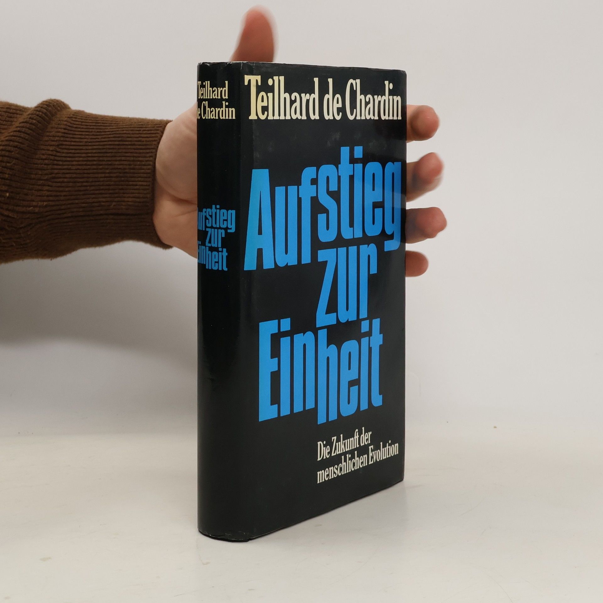 Teilhard de Chardin Aufstieg zur Einheit