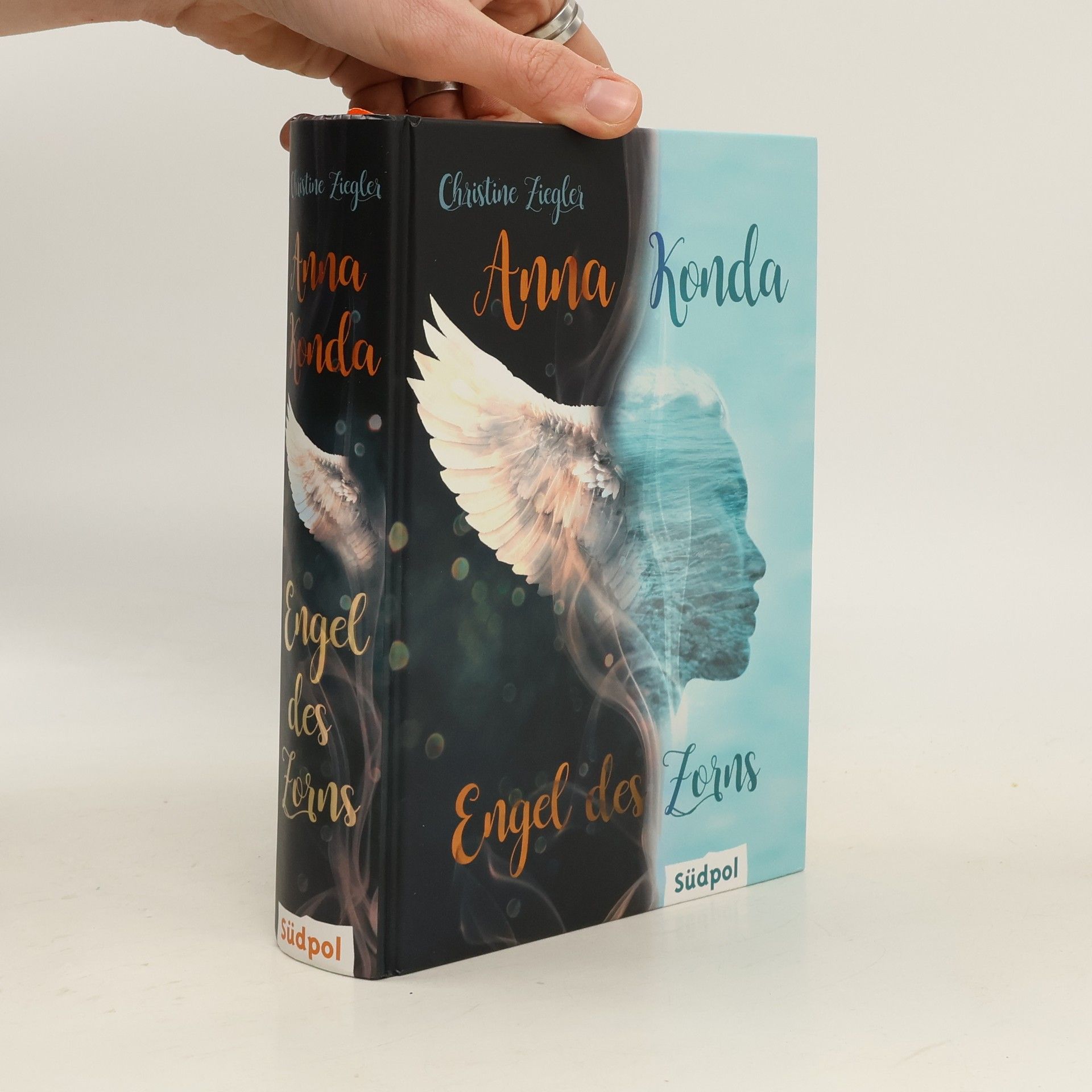 Christine Ziegler Anna Konda: Engel des Zorns