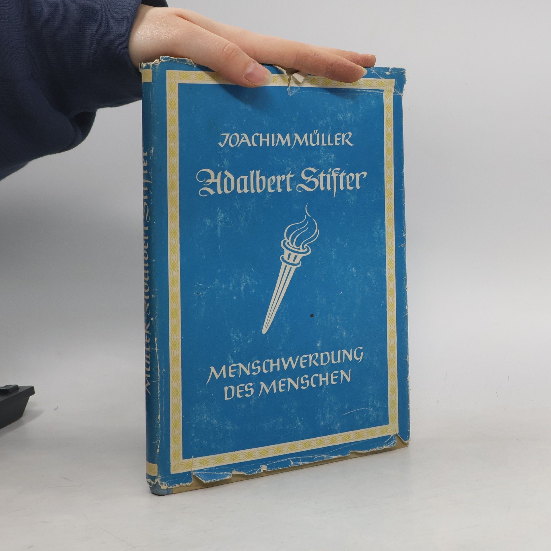 Joachim Müller Adalbert Stifter