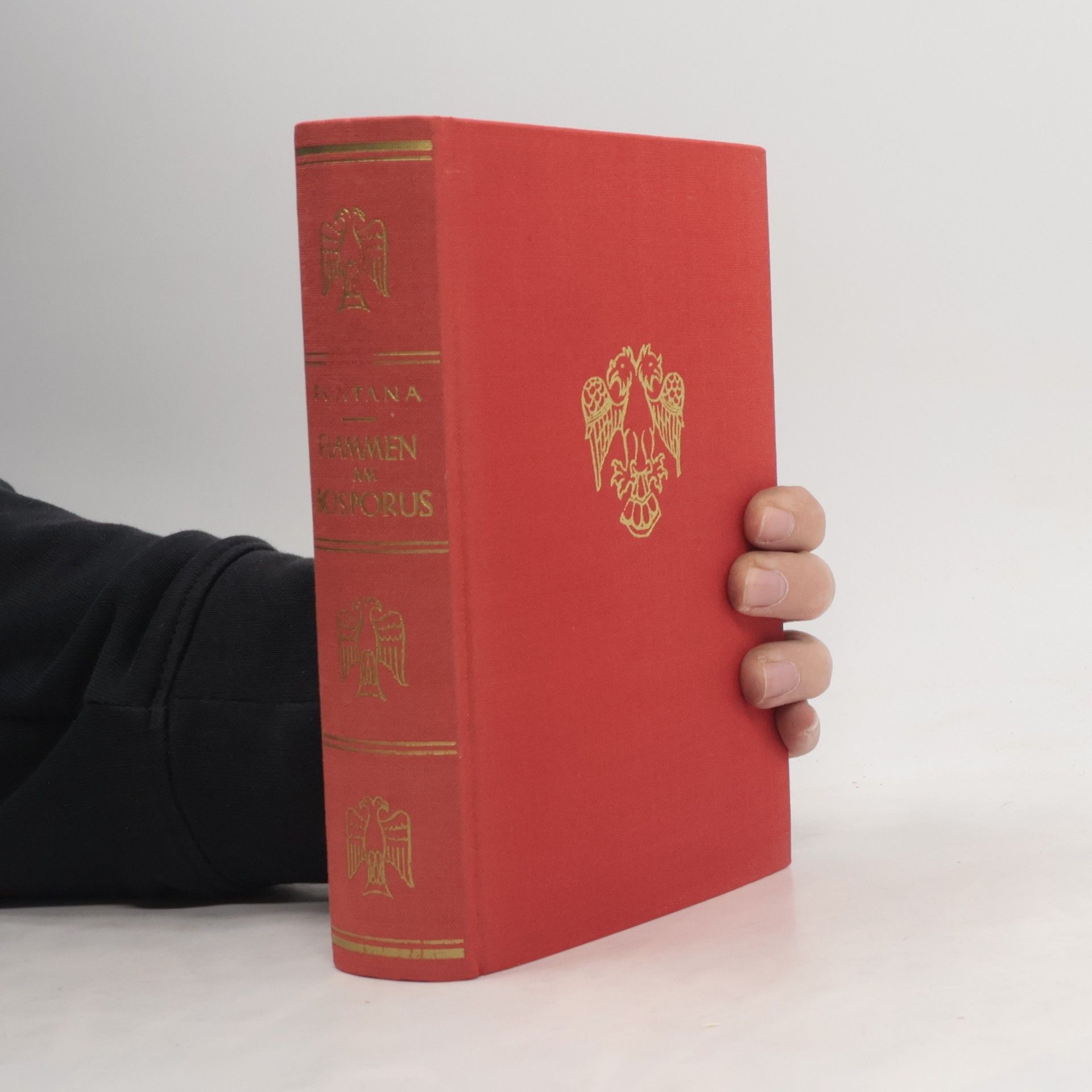 Trude Fontana Flammen am Bosporus