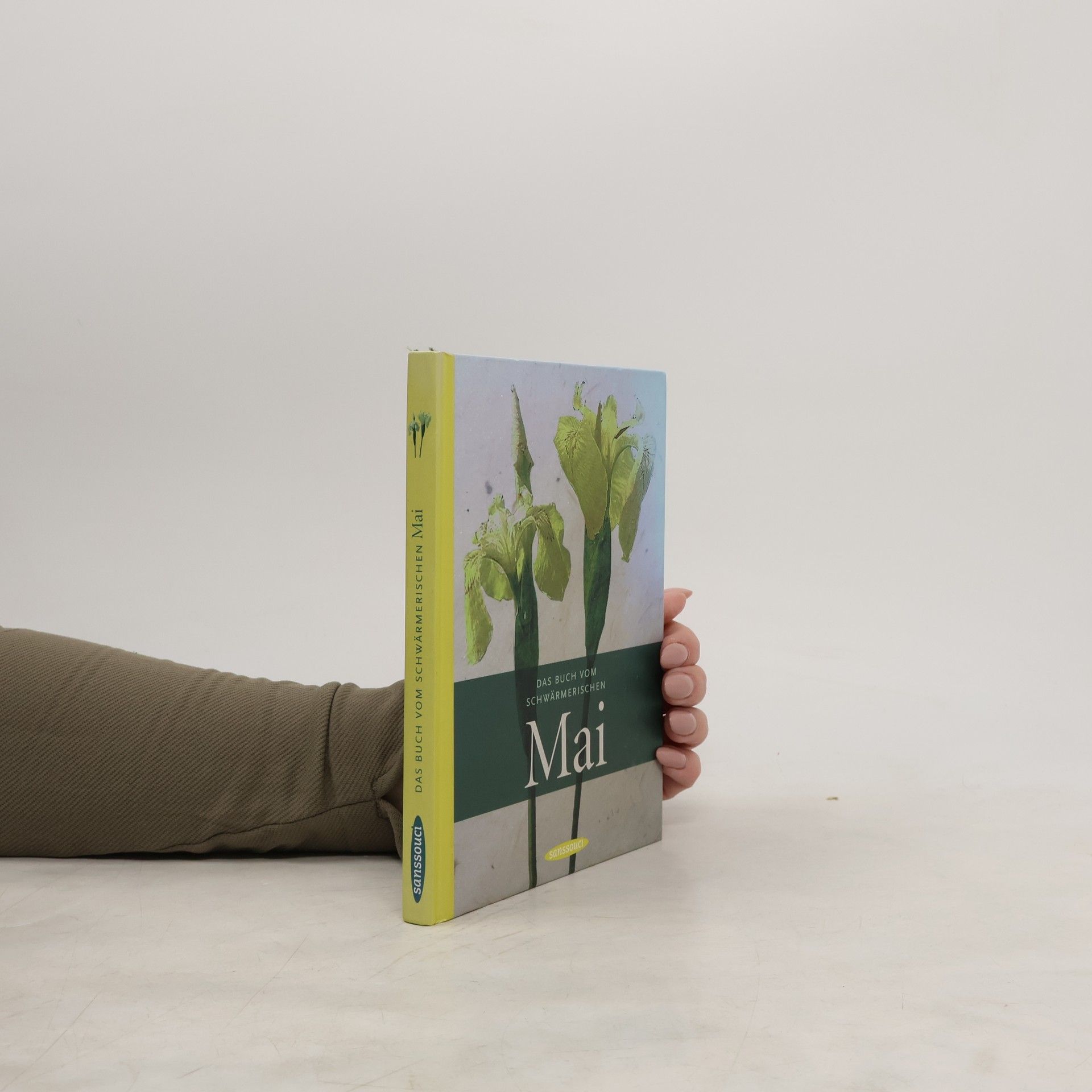 Klaus Modick Das Buch vom schwärmerischen Mai