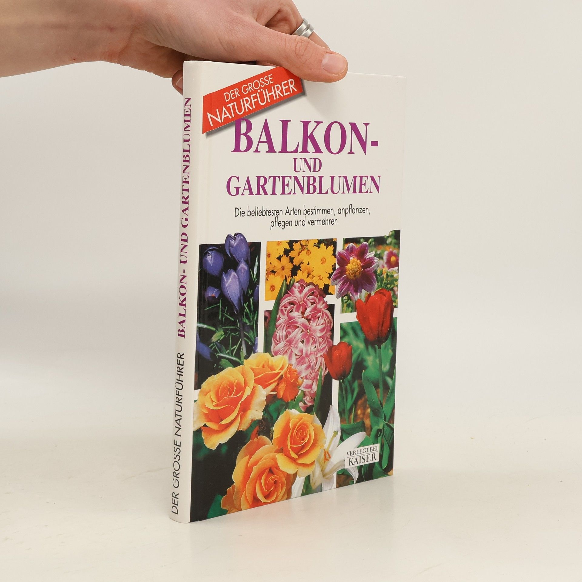 Balkon- und Gartenblumen