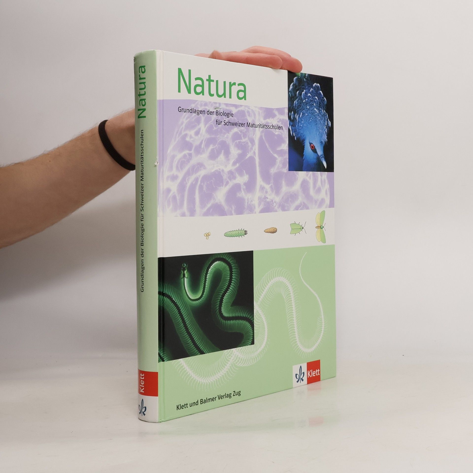 Collectif d'auteurs Natura - Ausgabe Schweiz: Grundlagen der Biologie für Schweizer Maturitätsschulen