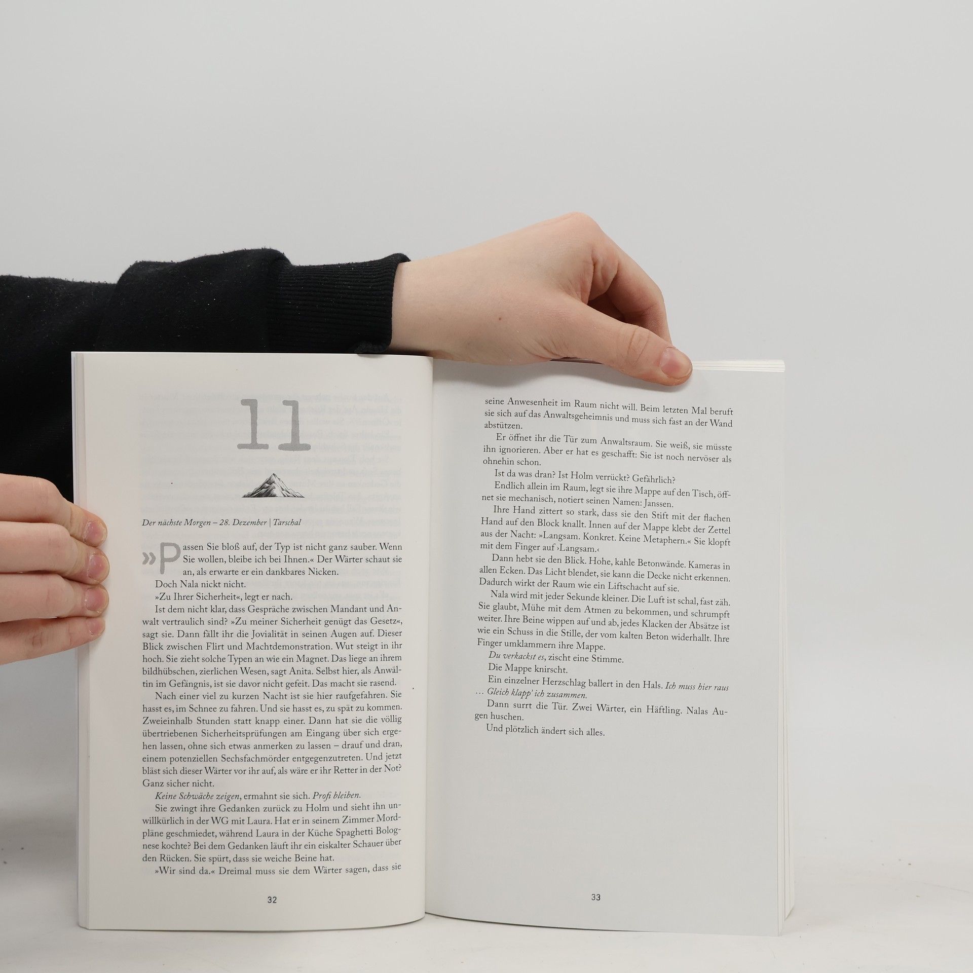 Florian C. Meile Der Savant 1: Tödliche Gabe