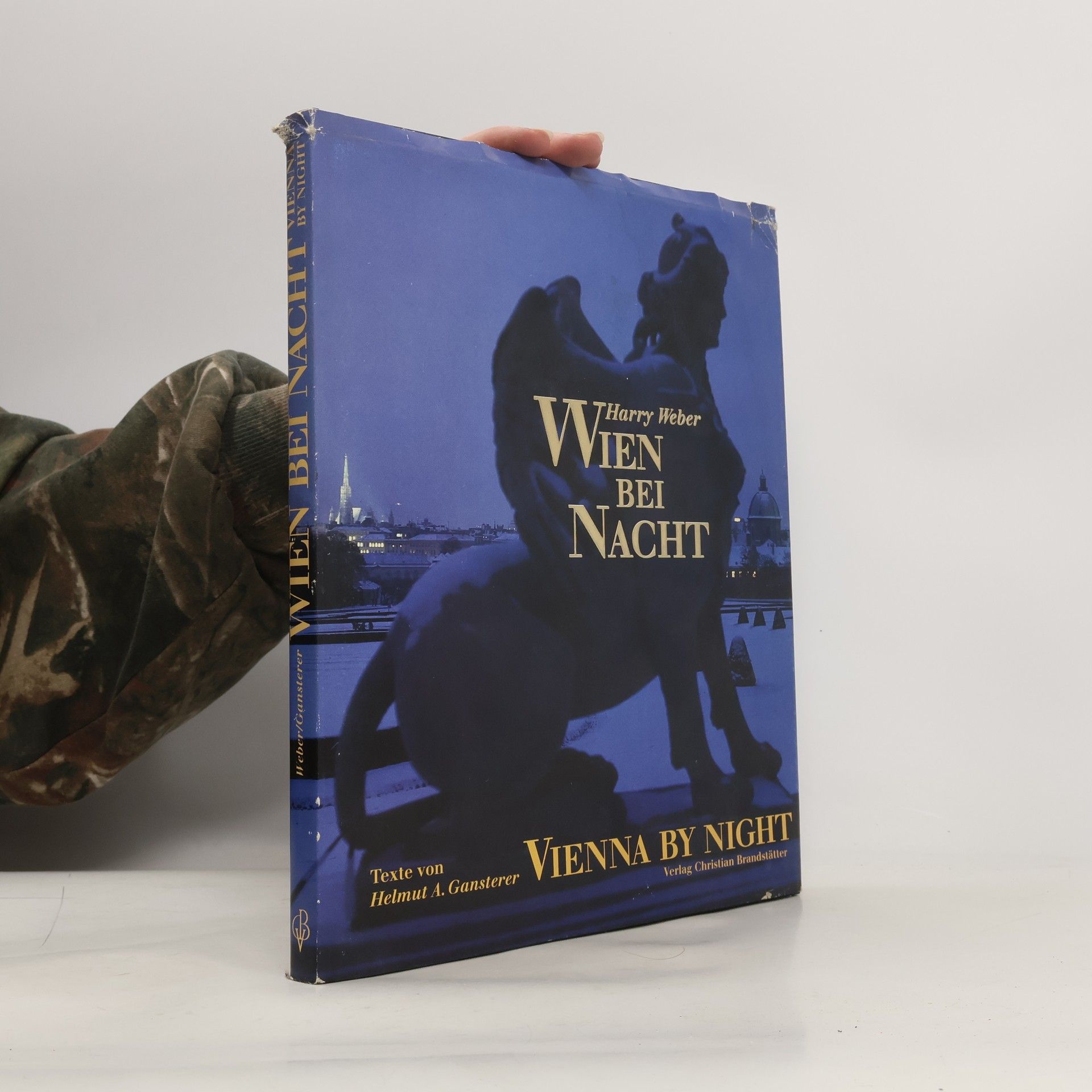 Wien bei Nacht