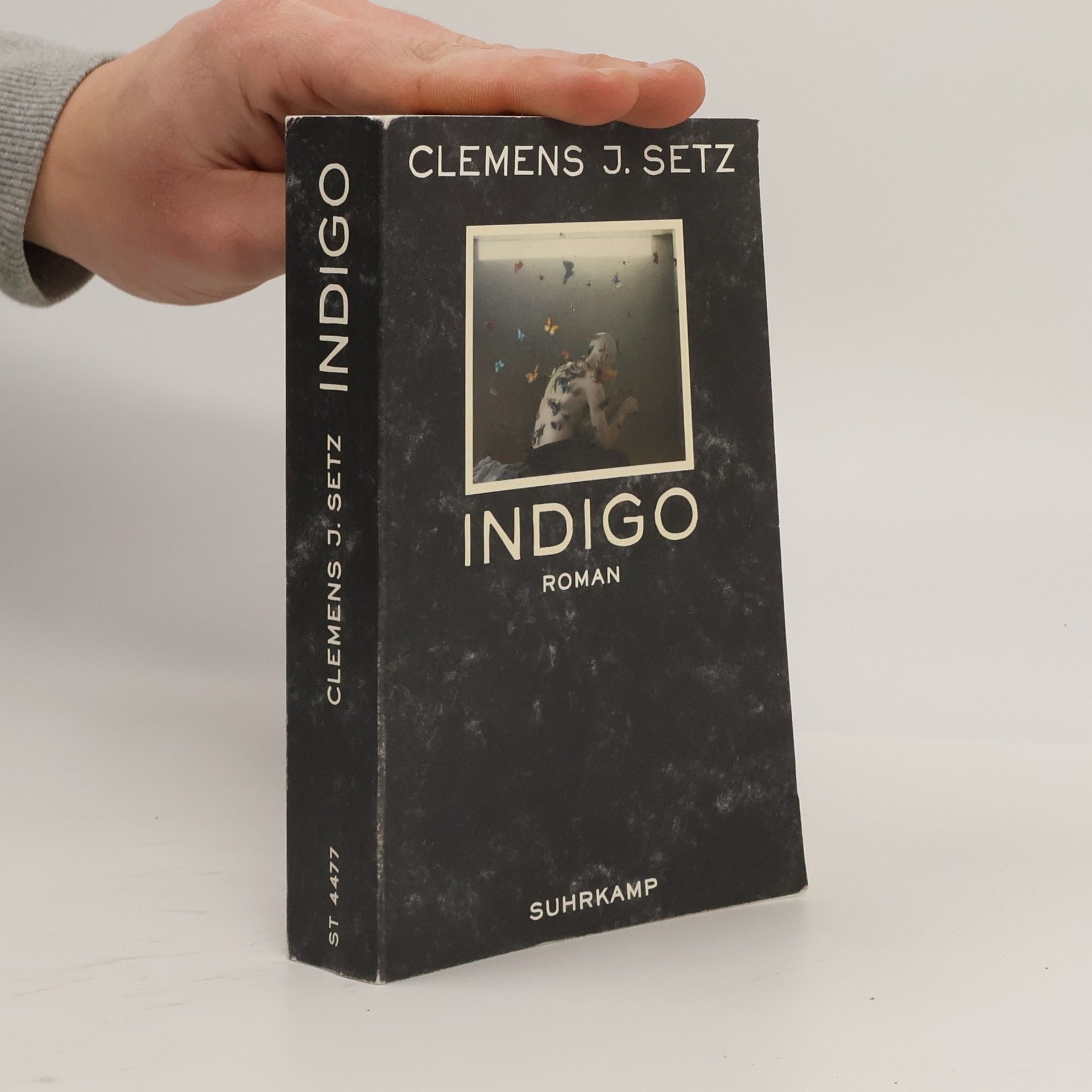 Clemens J. Setz Indigo