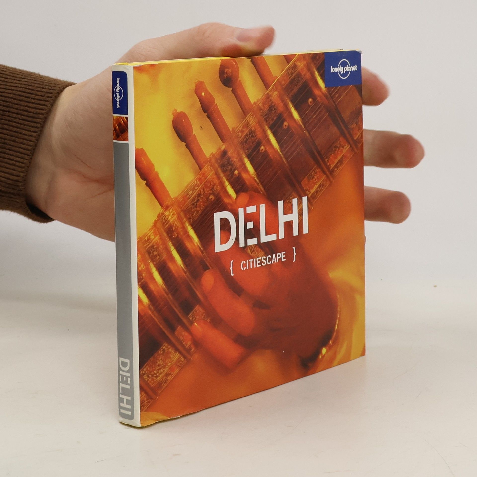 Sarina Singh Citiescape Delhi