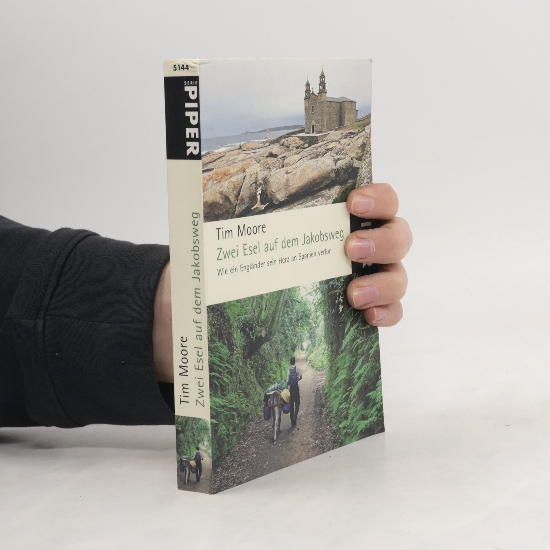 Tim Moore Zwei Esel auf dem Jakobsweg