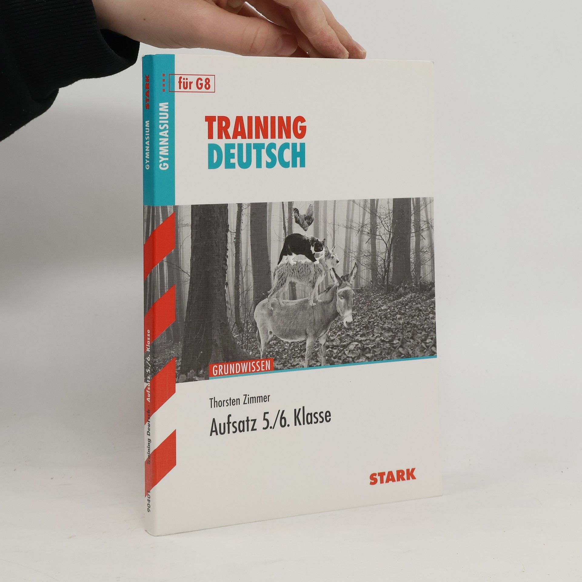 Thorsten Zimmer Aufsatz 5./6. Klasse