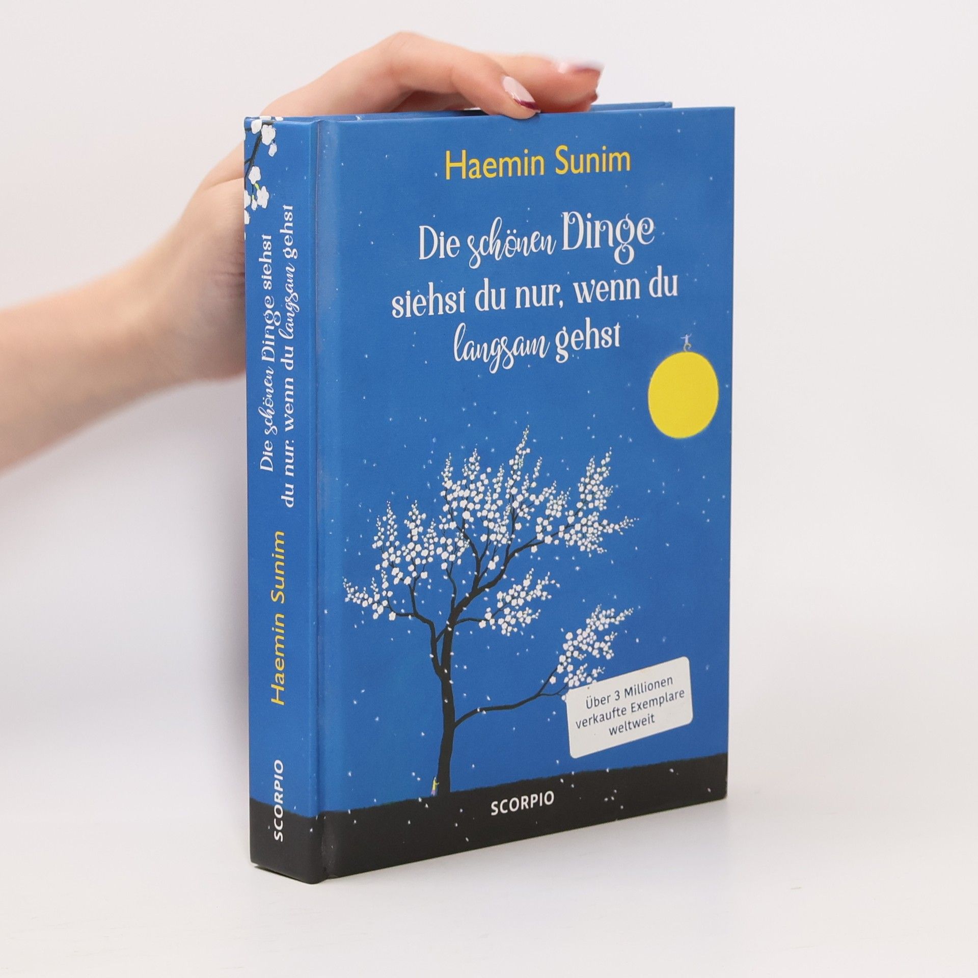 Haemin Die schönen Dinge siehst du nur, wenn du langsam gehst