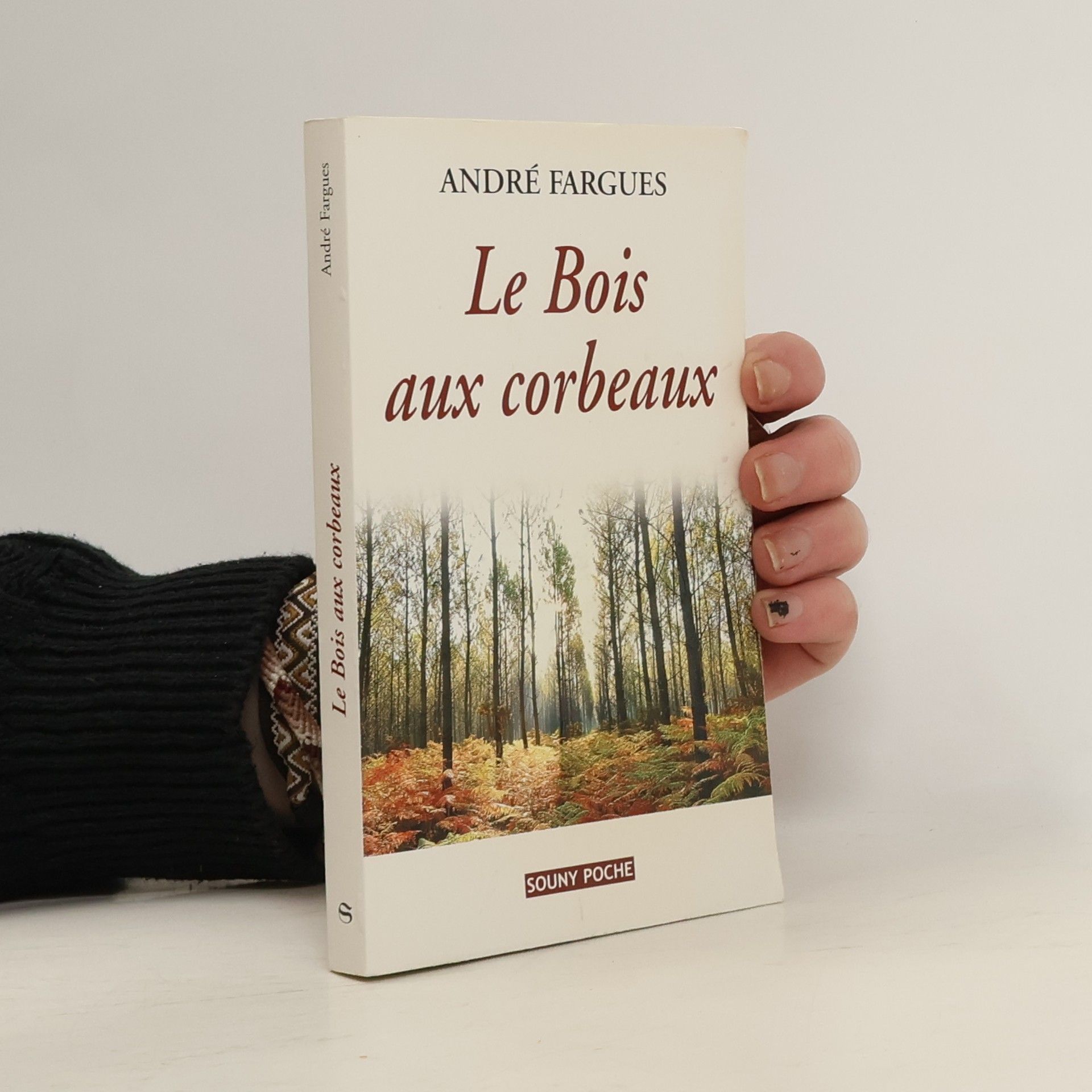André Fargues Le bois aux corbeaux