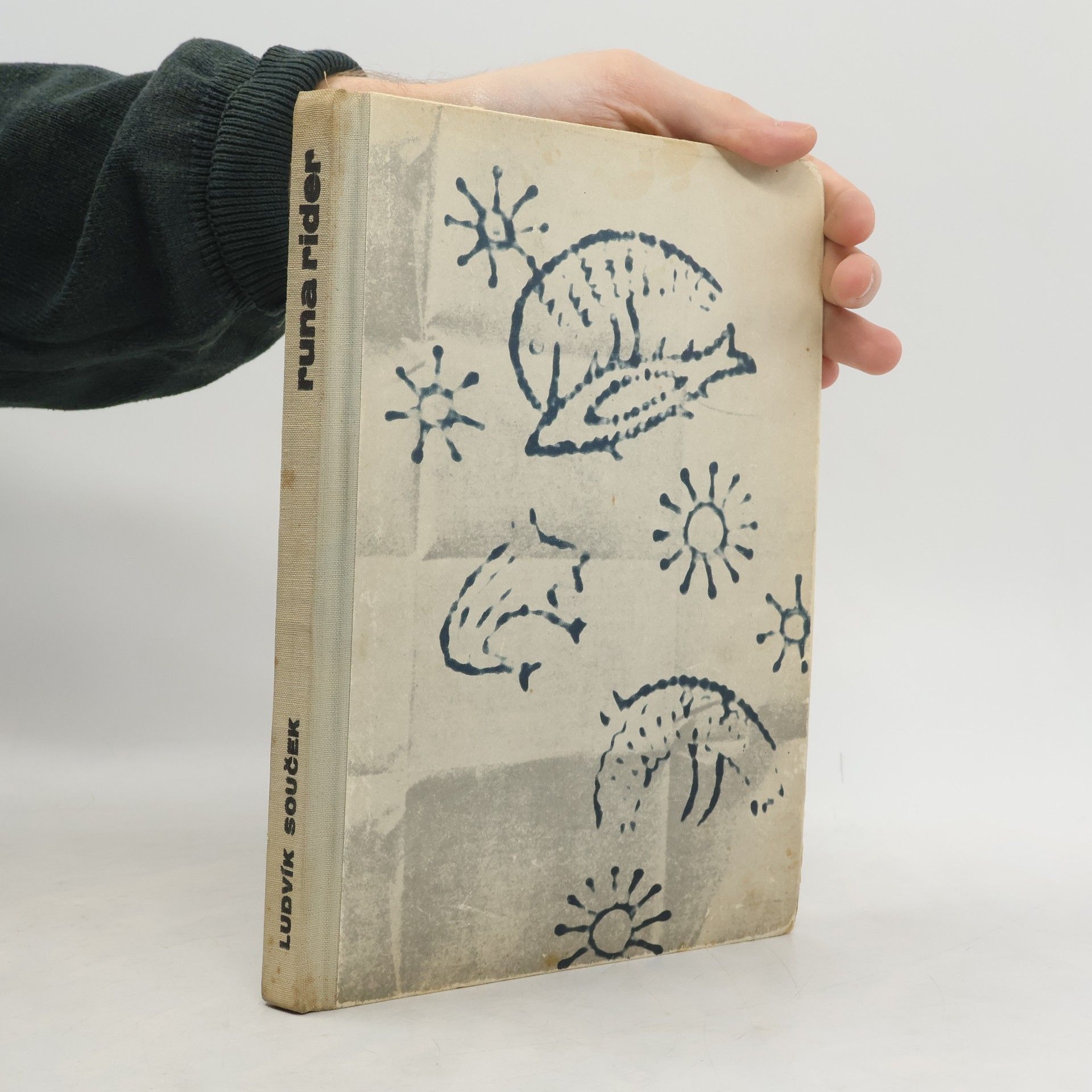 Ludvík Souček Runa rider: Cesty slepých ptáků II