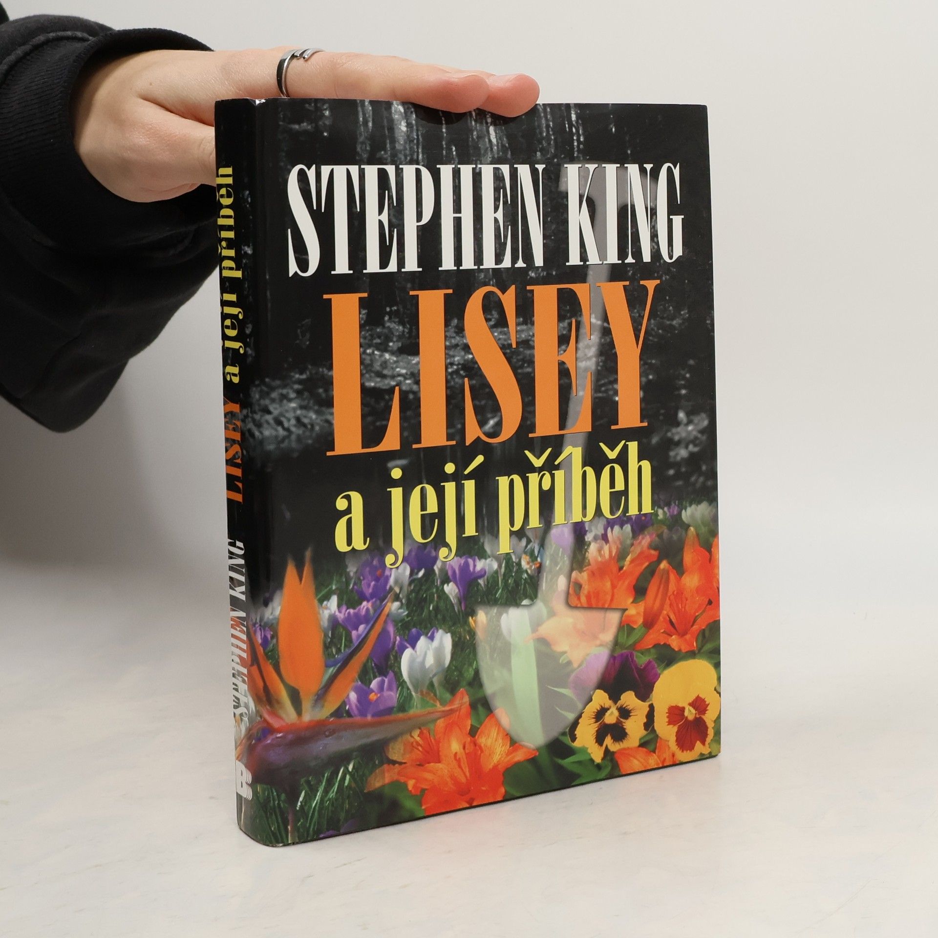 Stephen King Lisey a její příběh