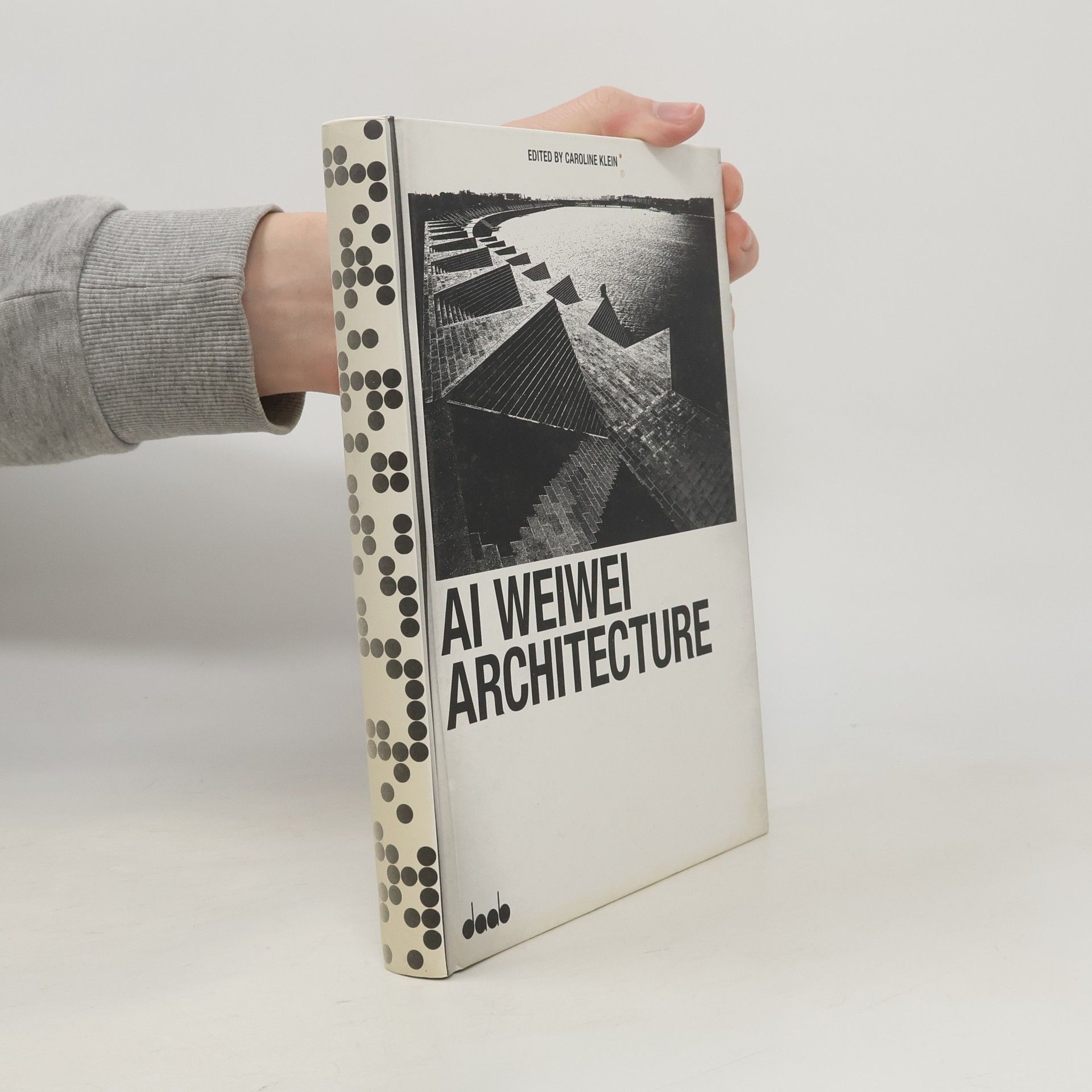 Caroline Klein Ai Weiwei