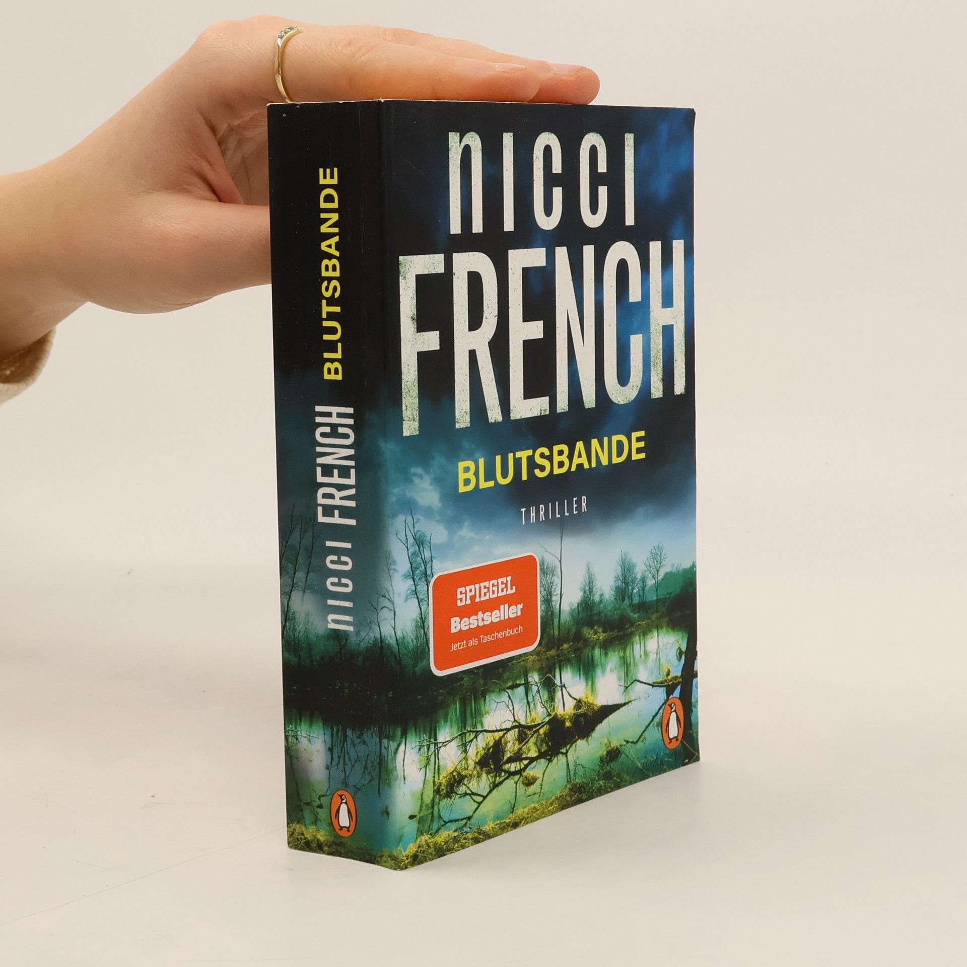 Nicci French Blutsbande