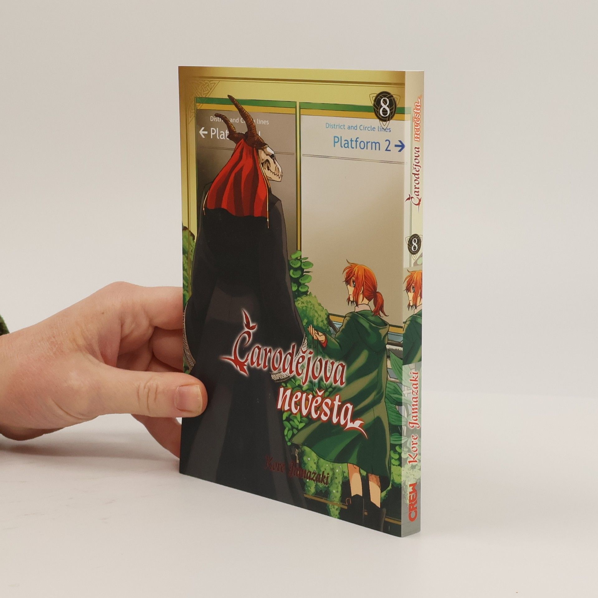 Kore Yamazaki Čarodějova nevěsta 8