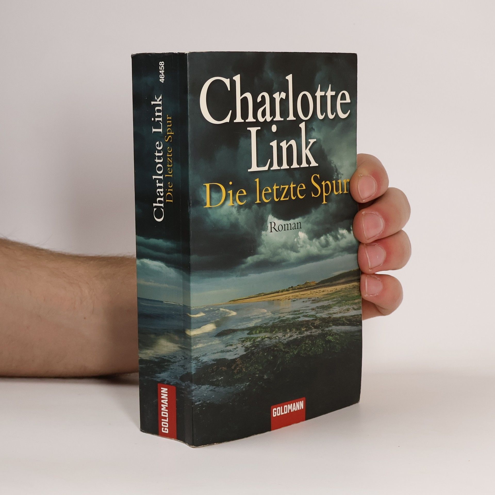 Charlotte Link Die letzte Spur