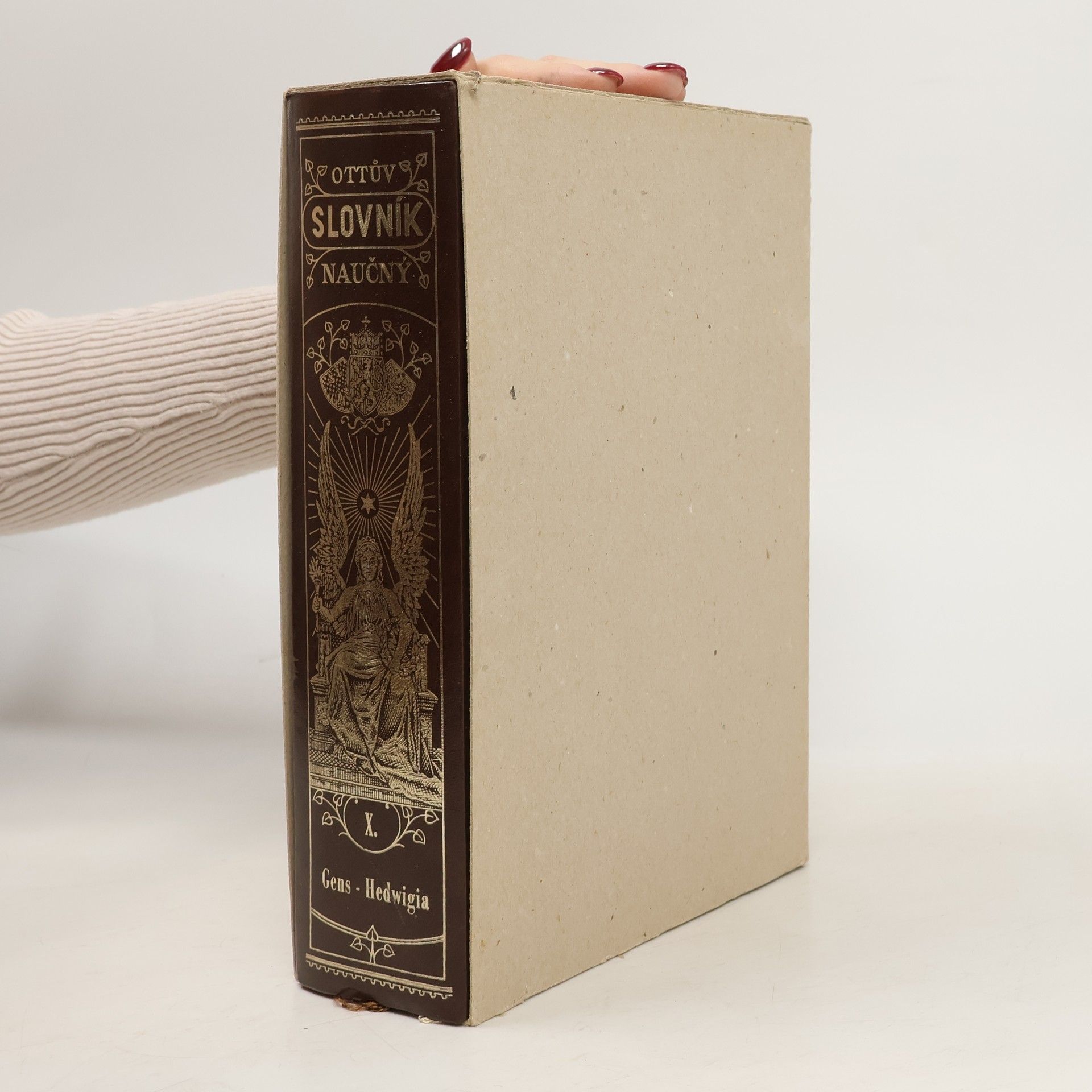 Ottův slovník naučný X. díl