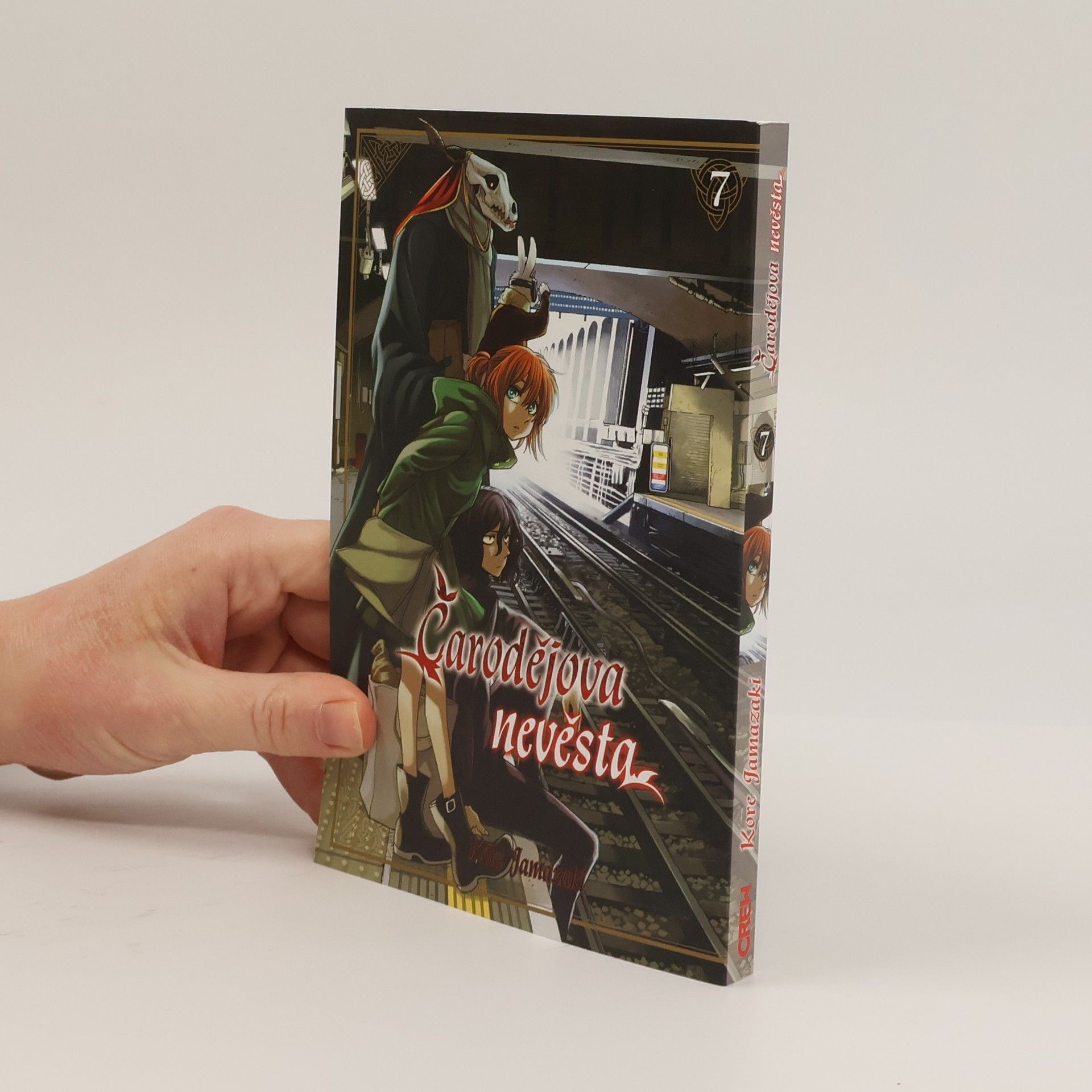 Kore Jamazaki Čarodějova nevěsta 7