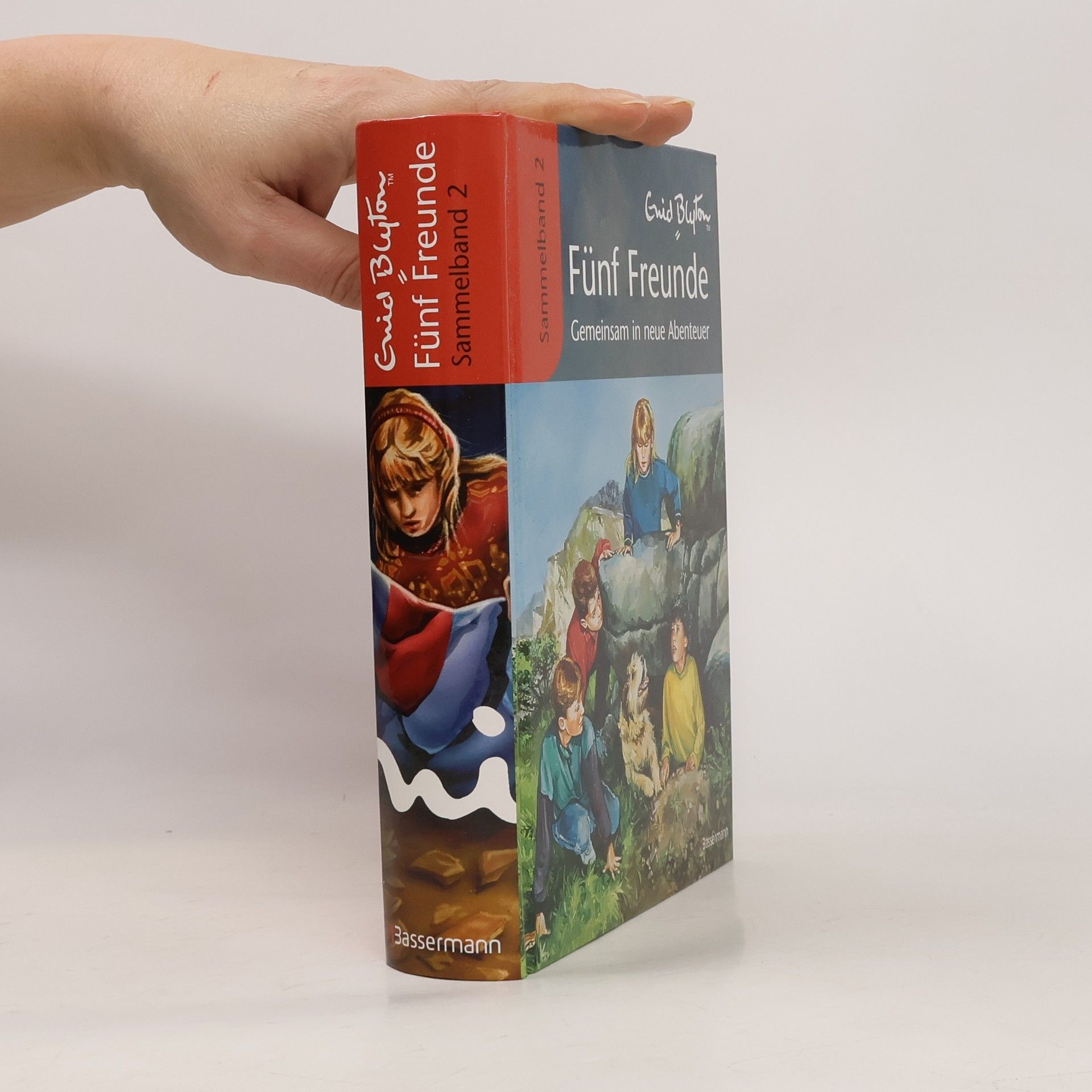 Werner Lincke Fünf Freunde