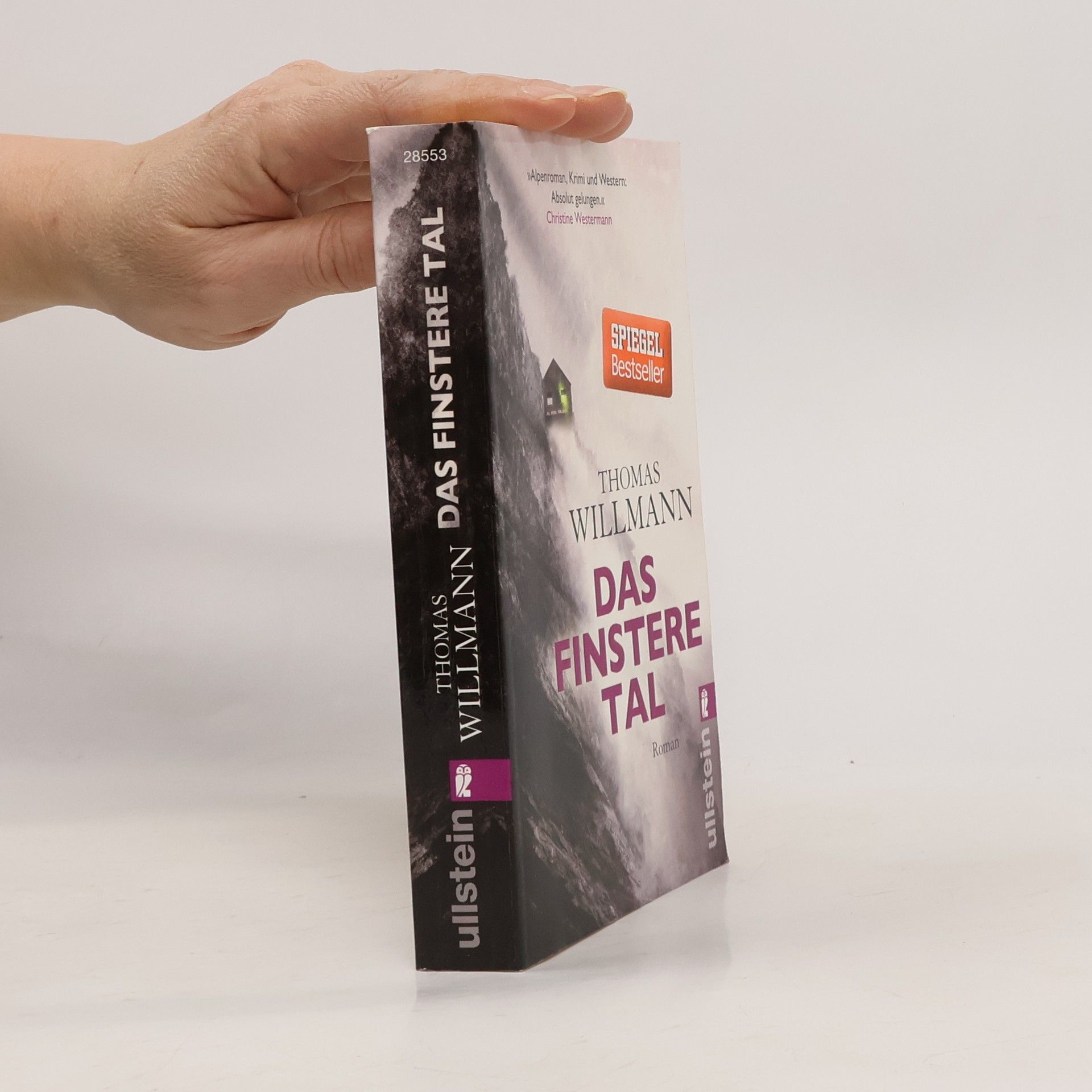 Thomas Willmann Das finstere Tal