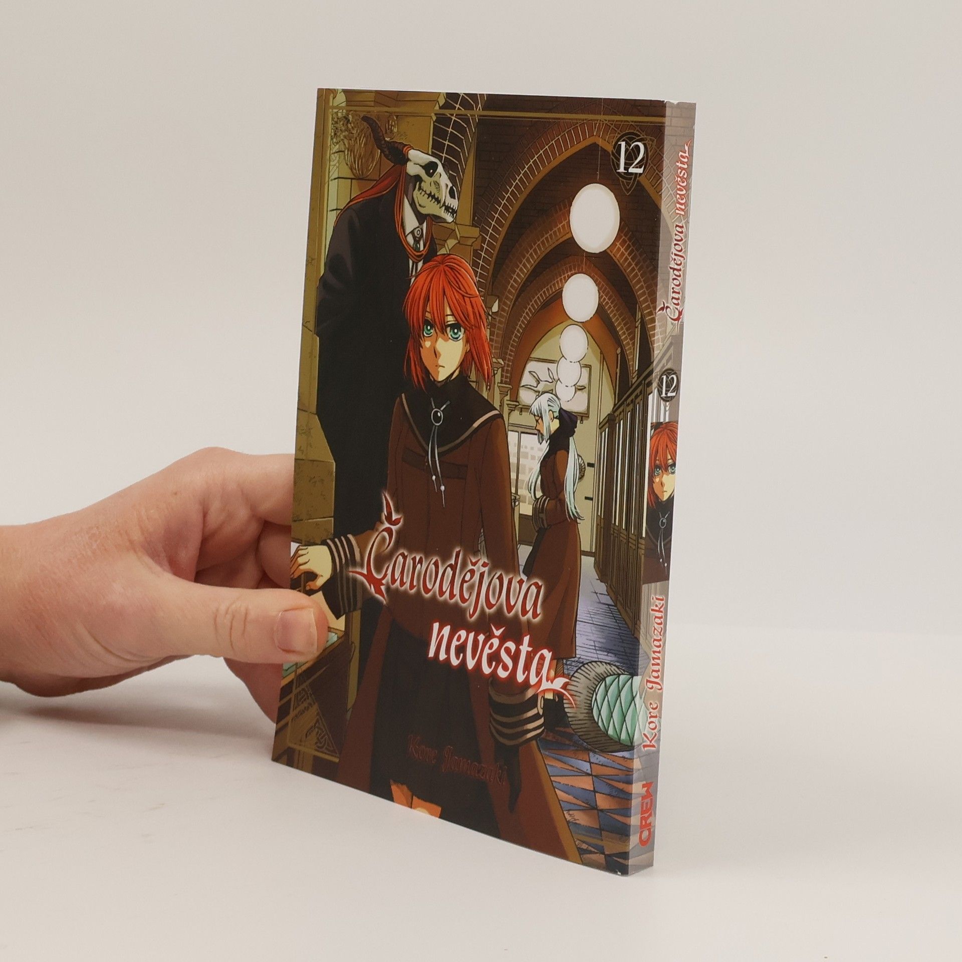 Kore Jamazaki Čarodějova nevěsta 12