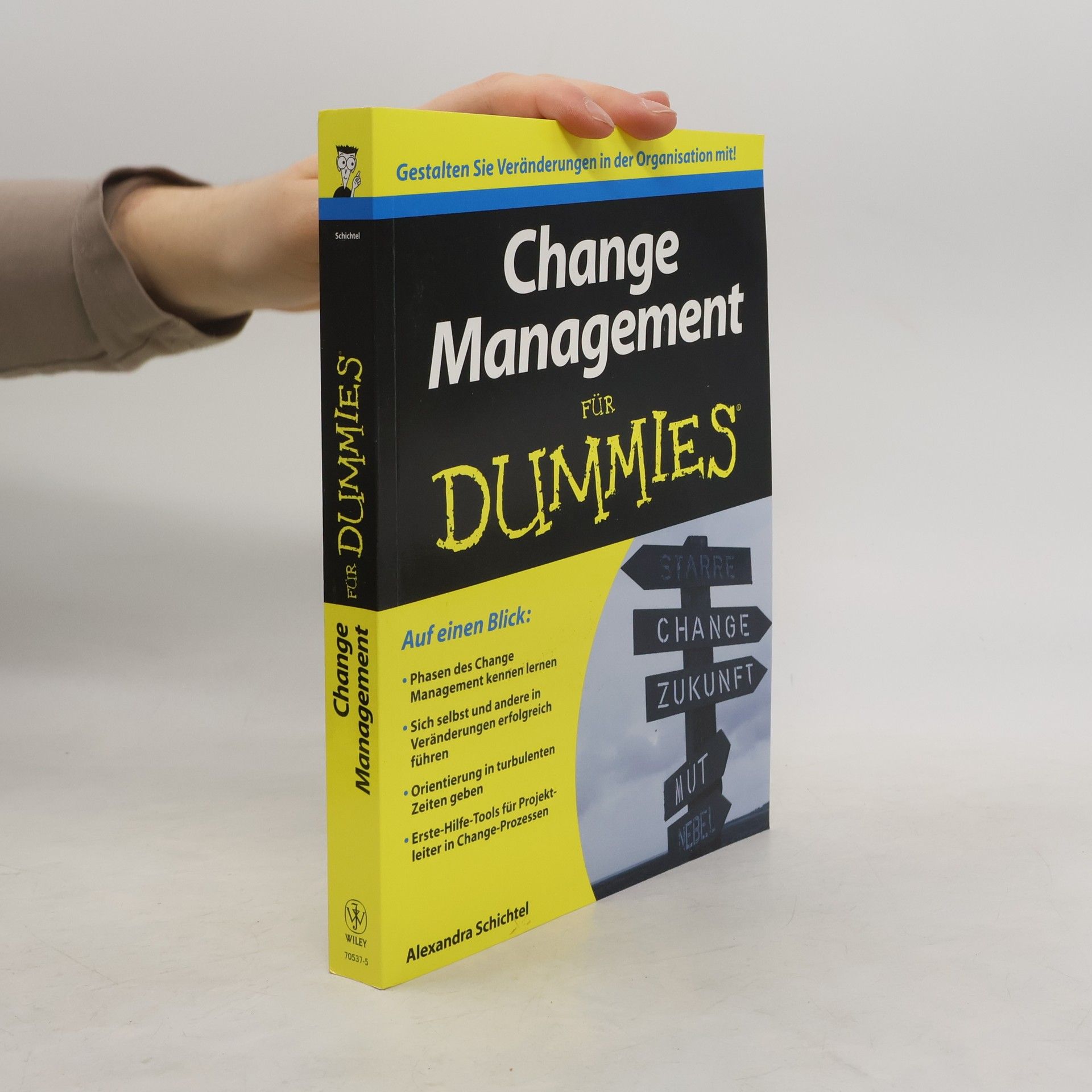 Alexandra Schichtel Change-Management für Dummies