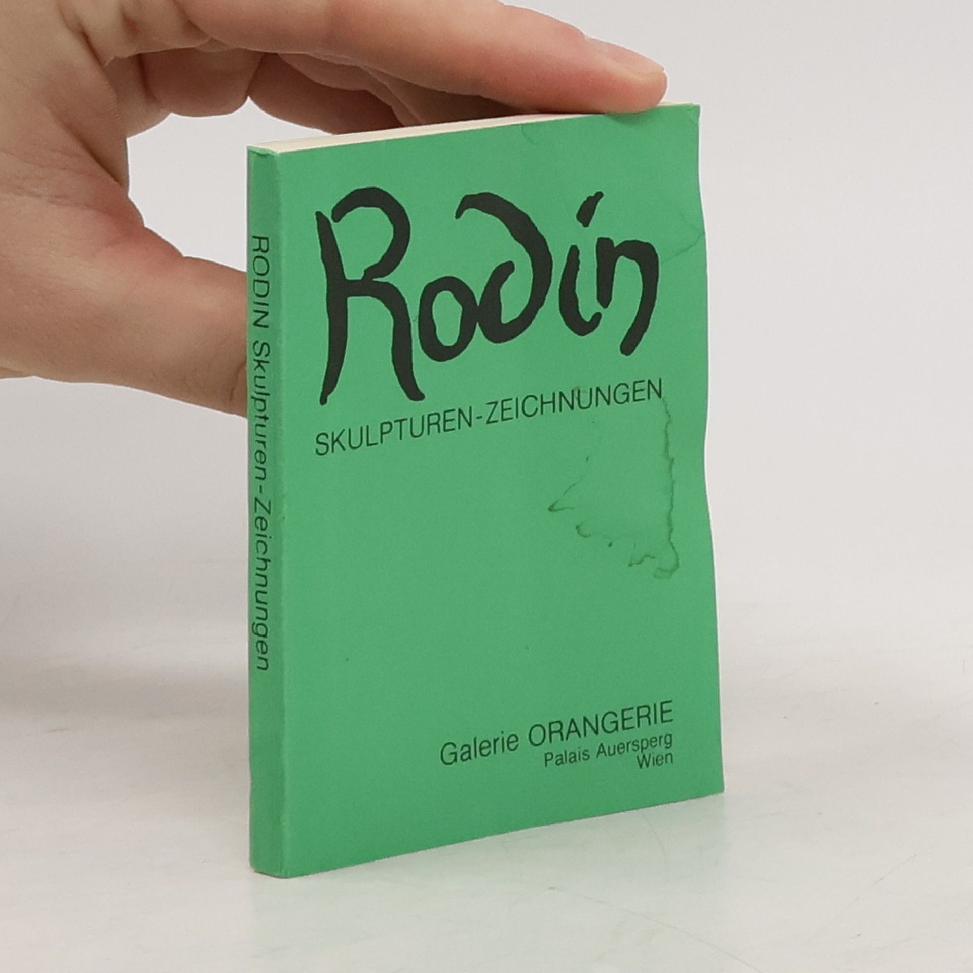 Autorenkollektiv Rodin Skulpturen-Zeichnungen