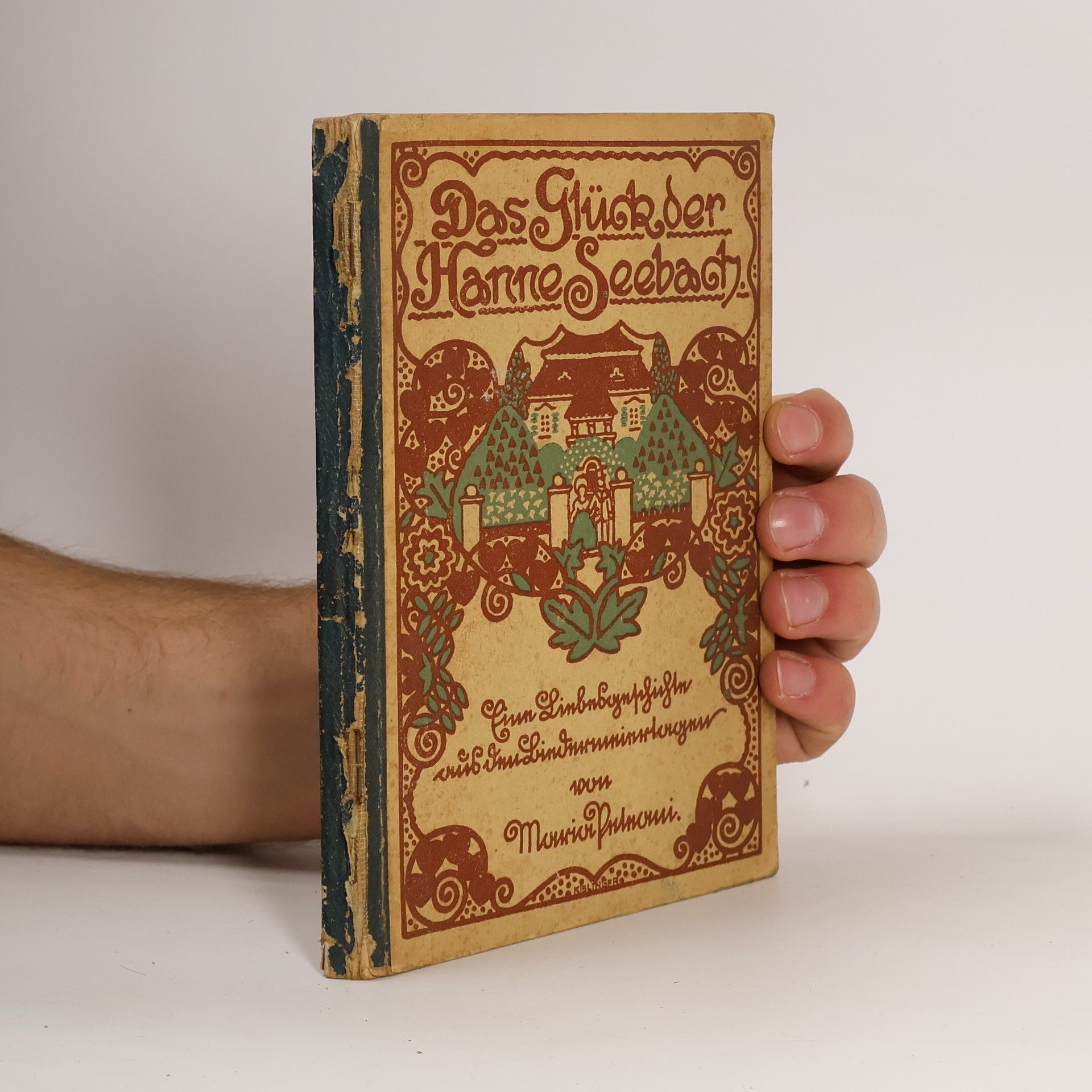 Das Glück der Hanne Seebach